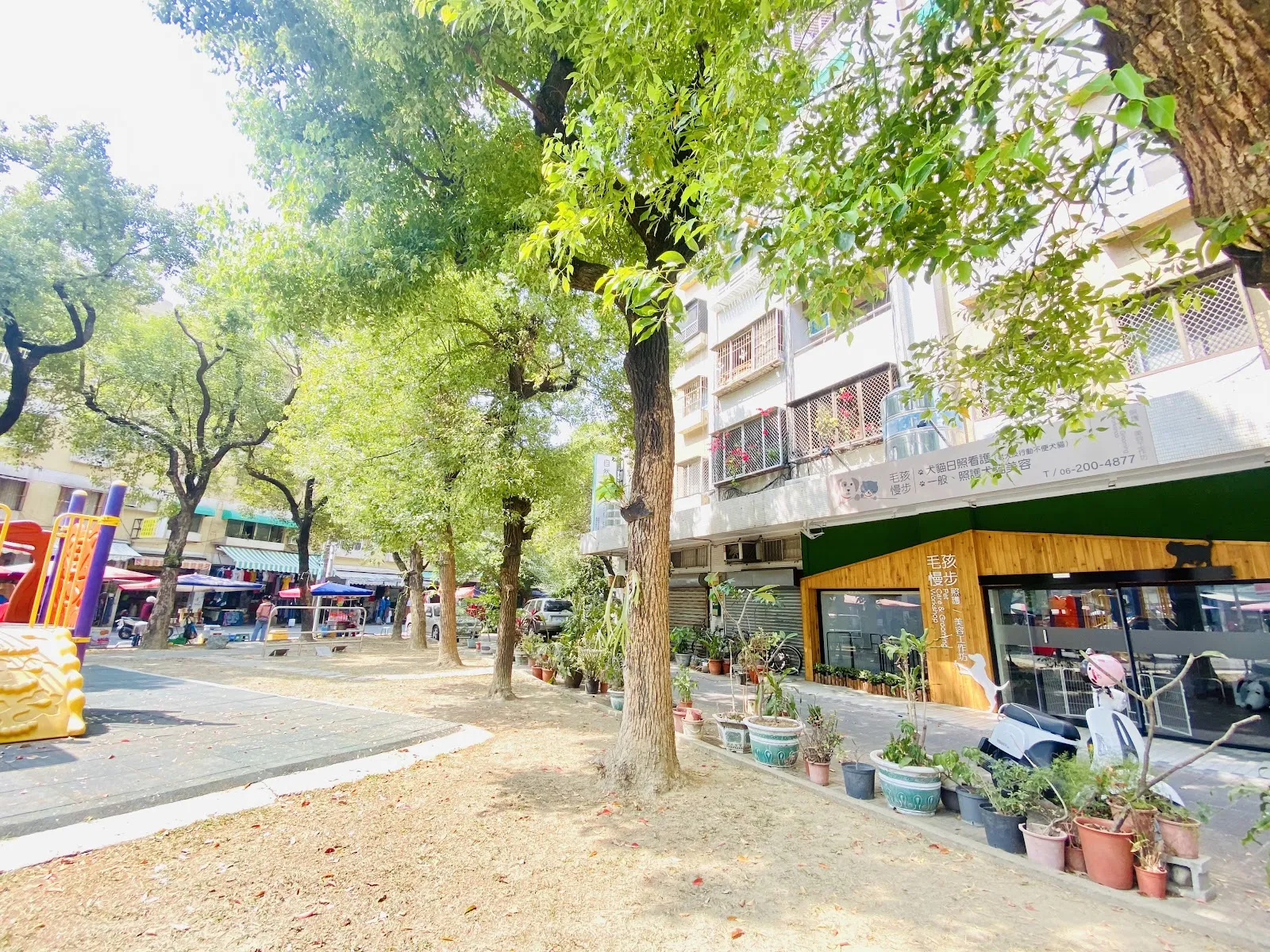 毛孩慢步照護美容工作坊