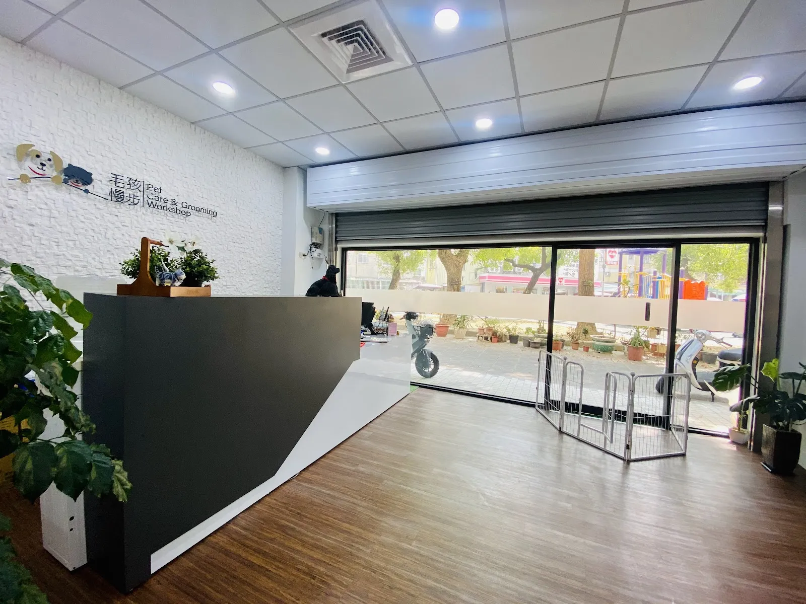 毛孩慢步照護美容工作坊