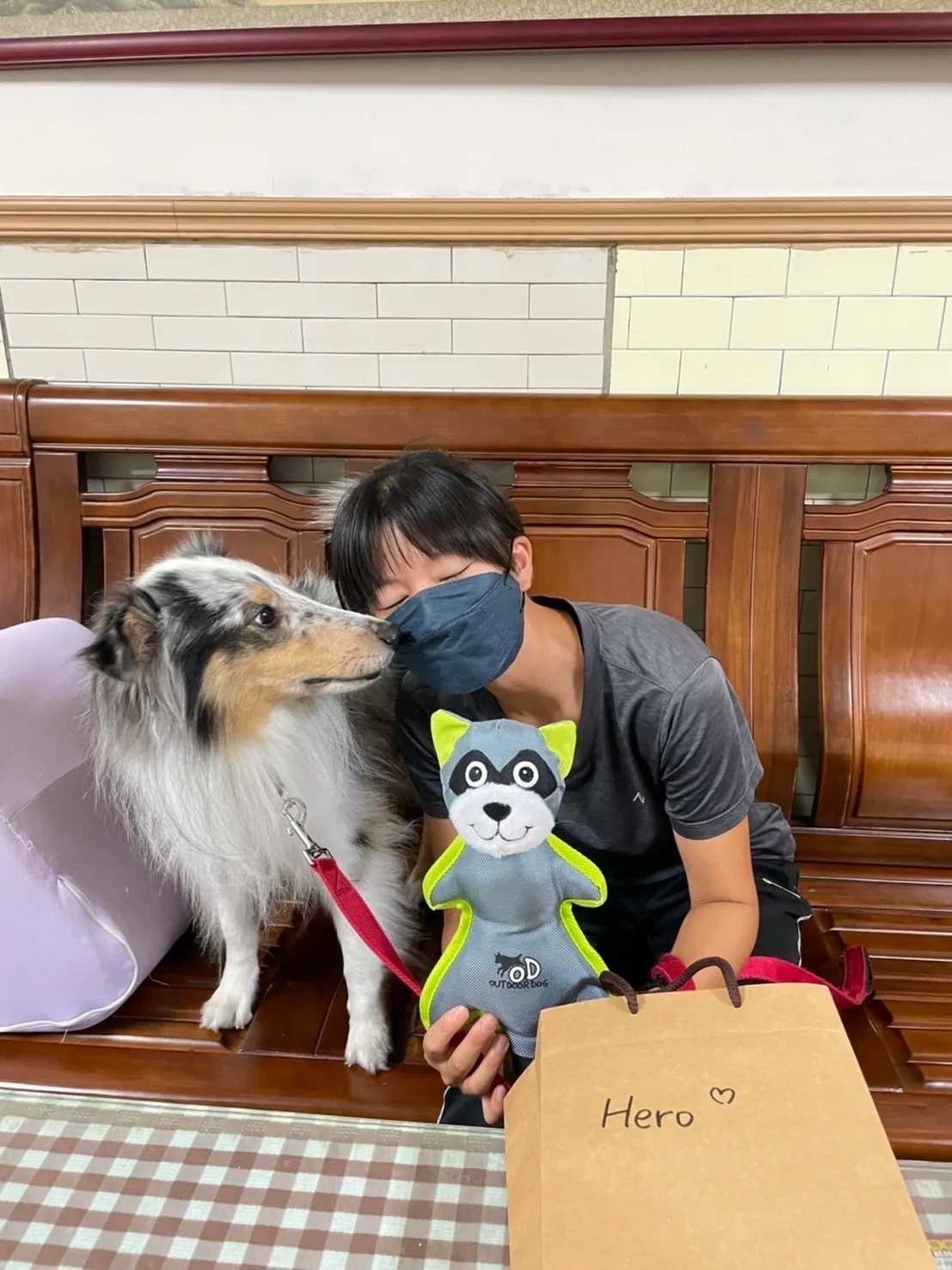 秋味犬教育工作室