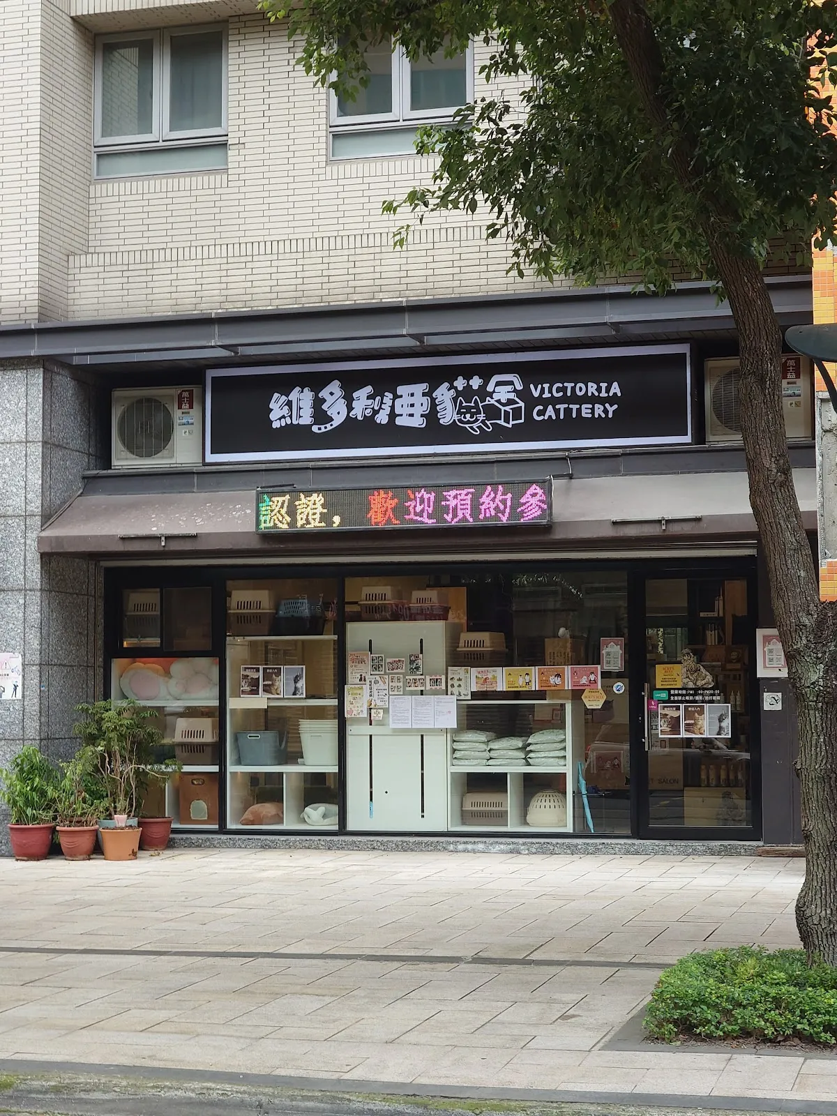 維多利亞喵喵美學