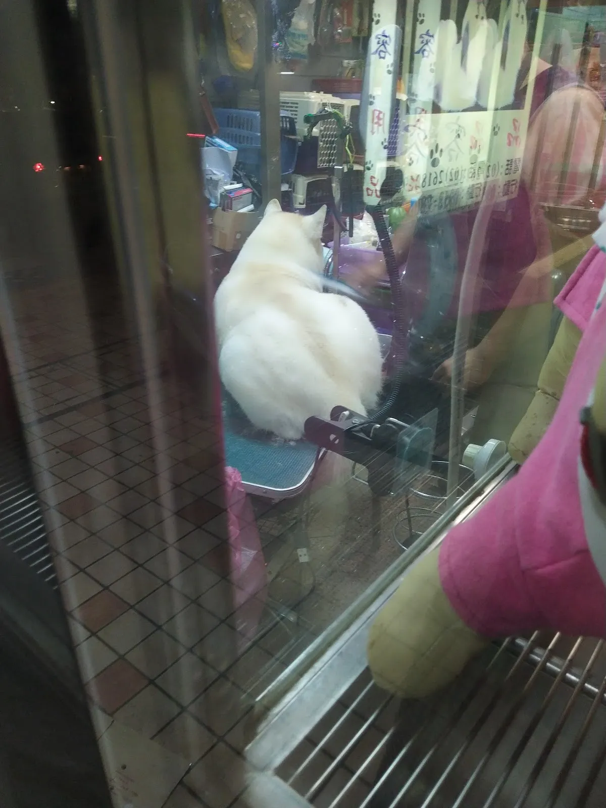 金犬家莊寵物精品店