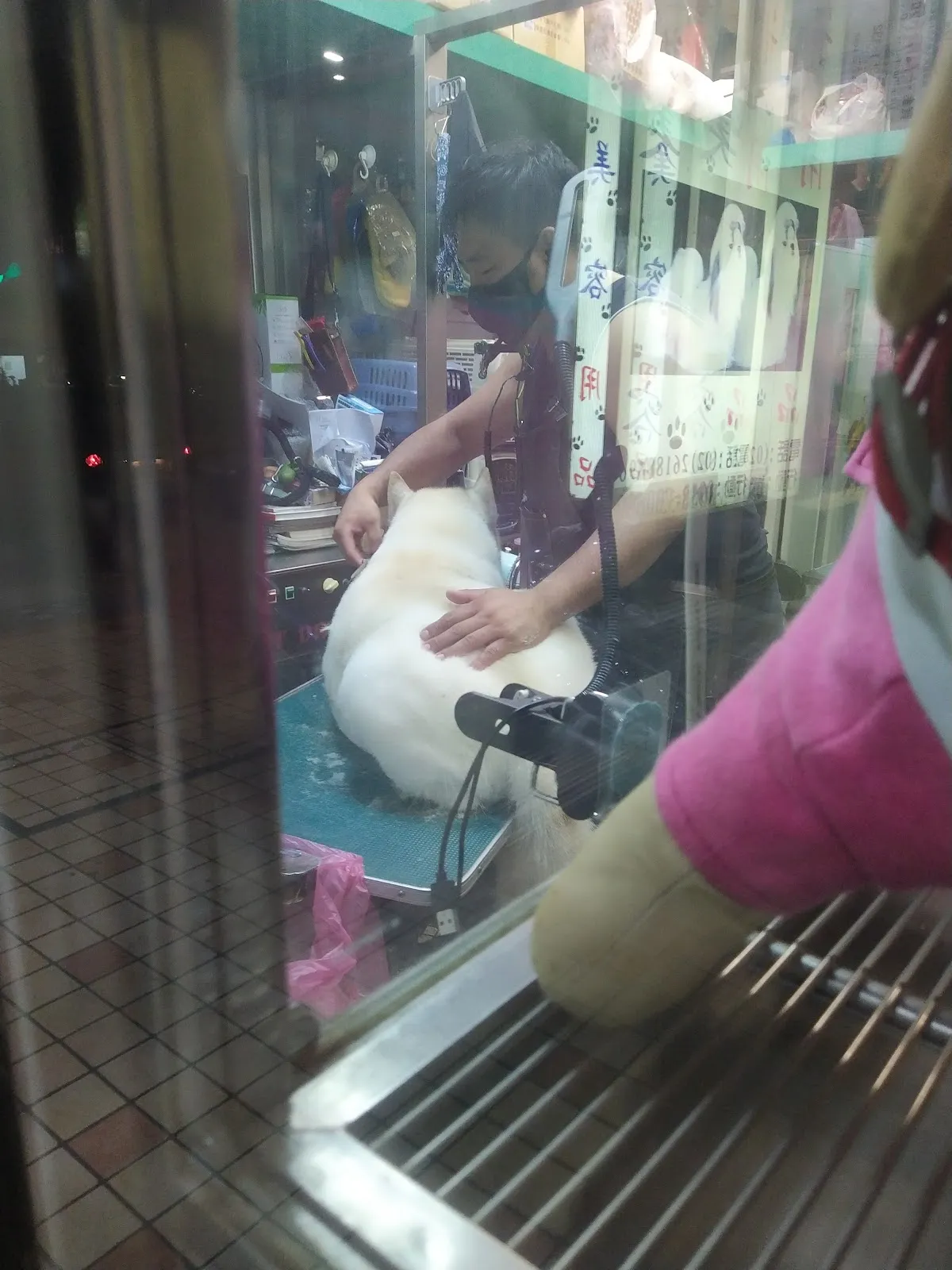 金犬家莊寵物精品店