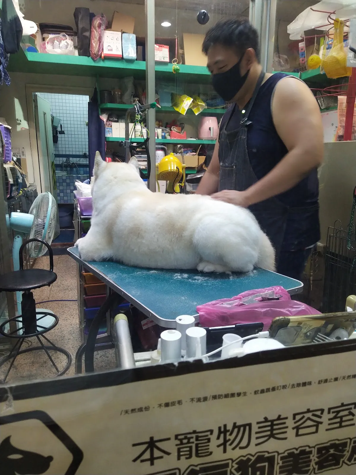 金犬家莊寵物精品店