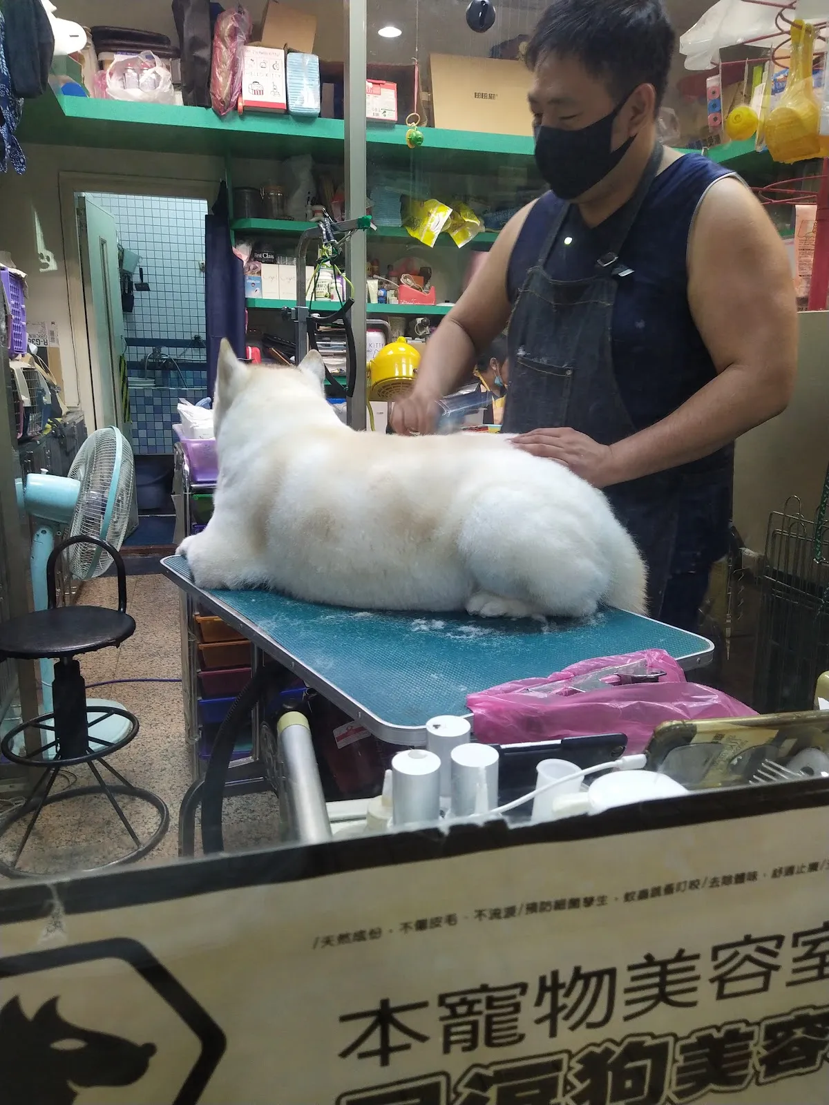 金犬家莊寵物精品店