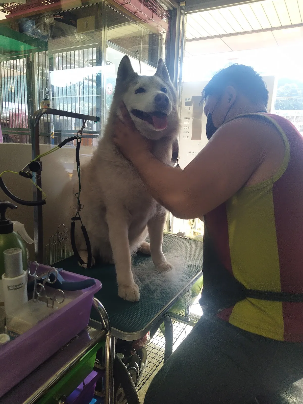 金犬家莊寵物精品店