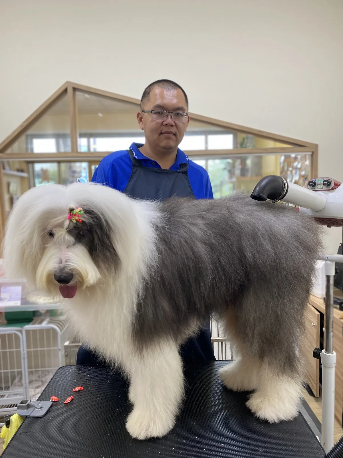 黑胖胖寵物美容