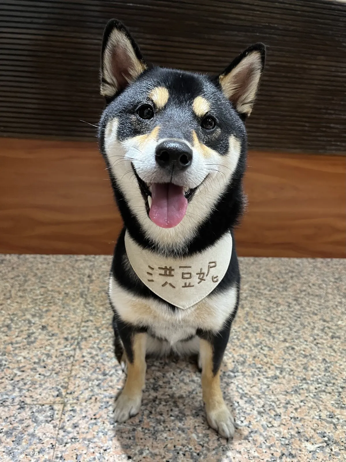 大樹溪埔莊犬舍