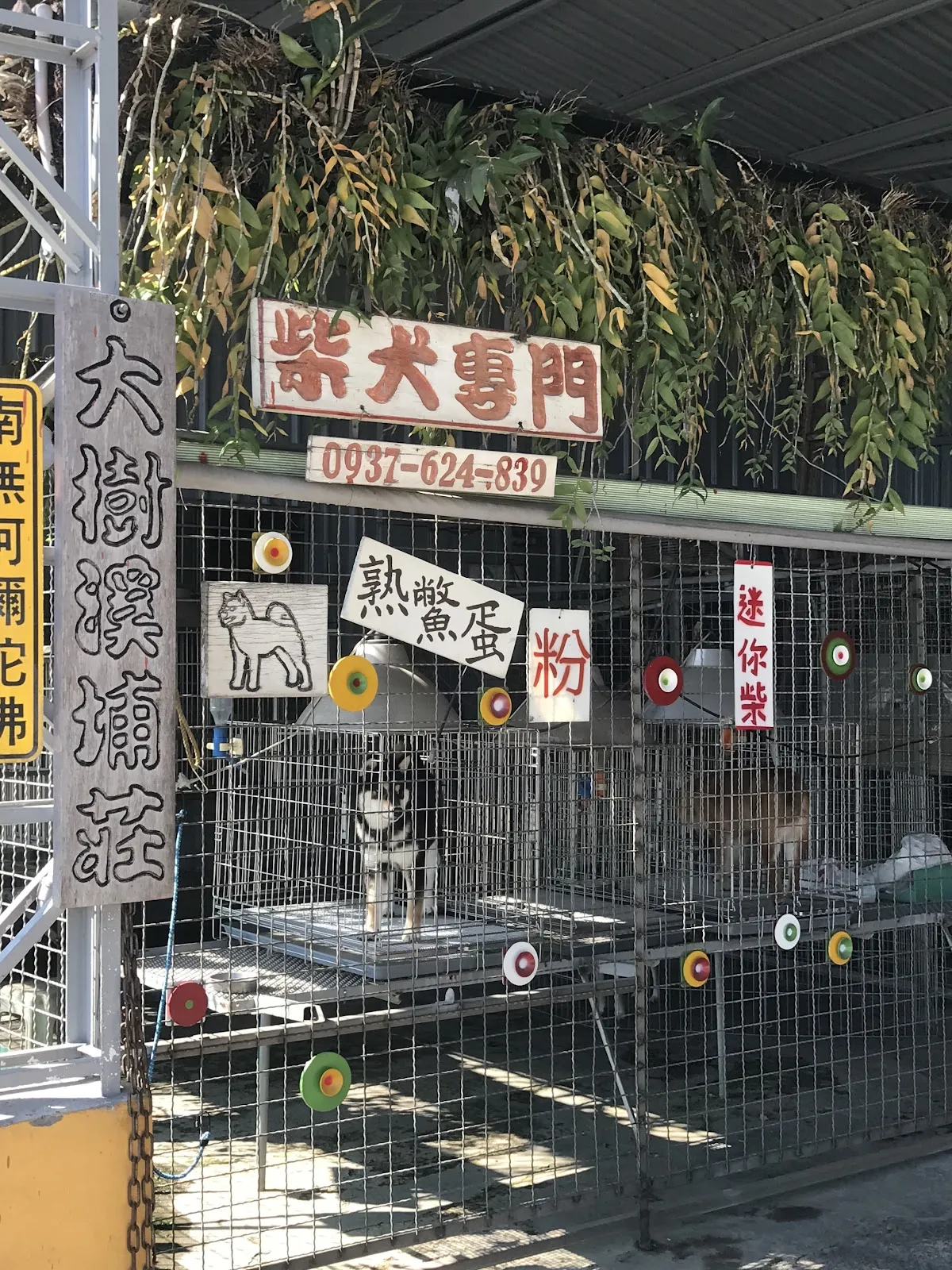 大樹溪埔莊犬舍