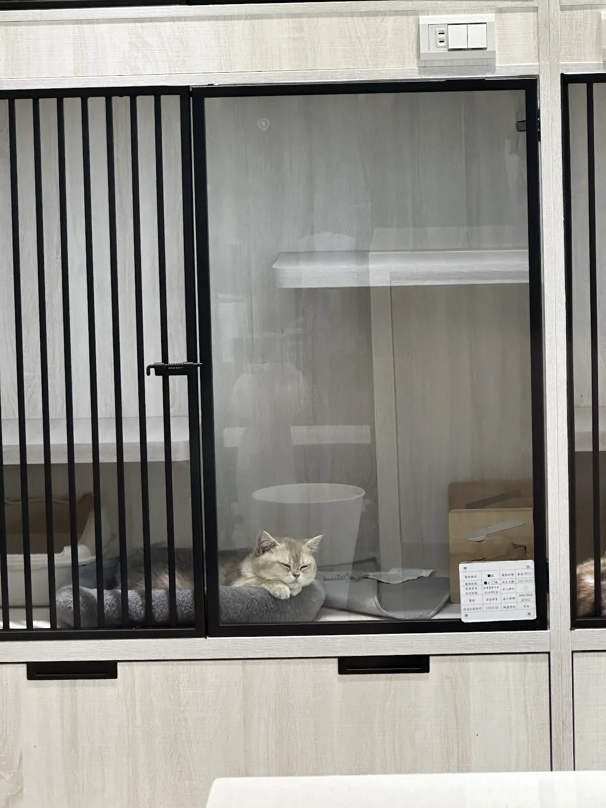 家寶寵物有限公司