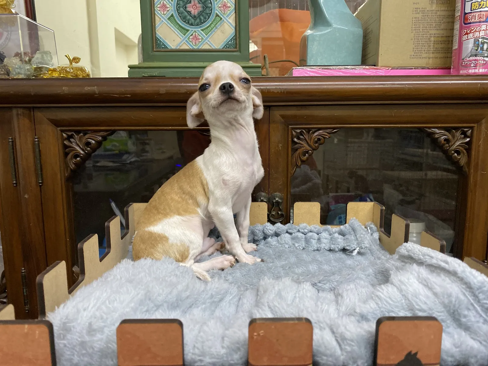 貝比樂園寵物生活館