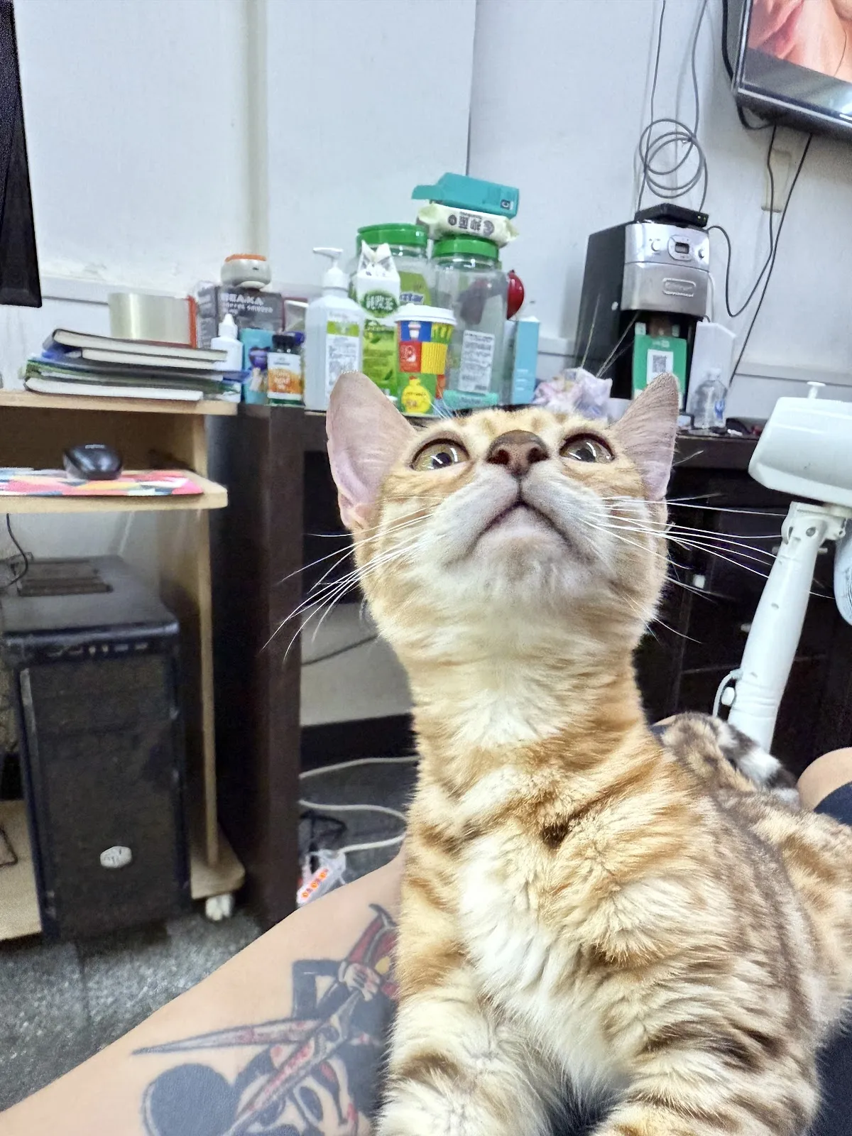 貝比樂園寵物生活館