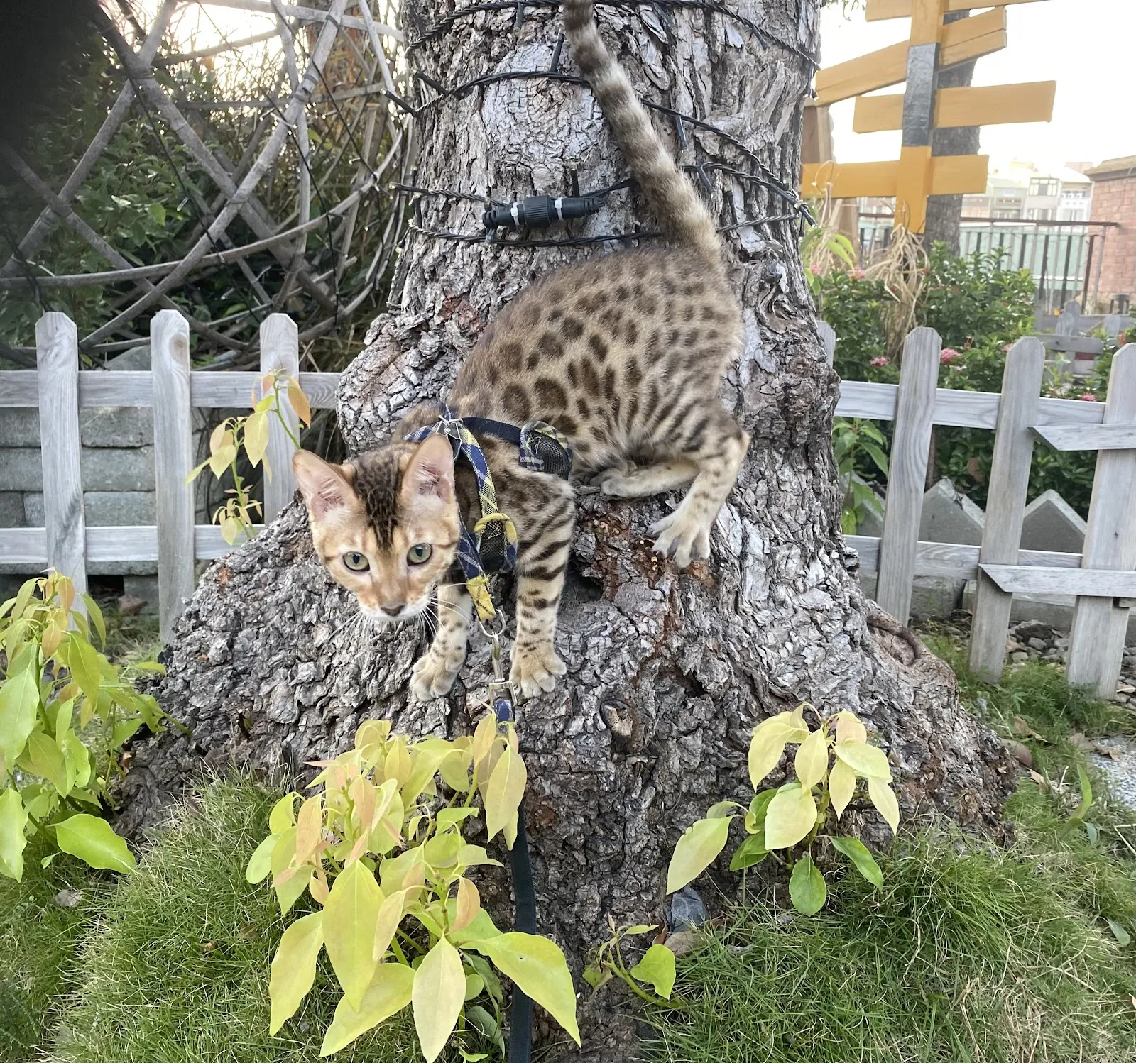 貝比樂園寵物生活館