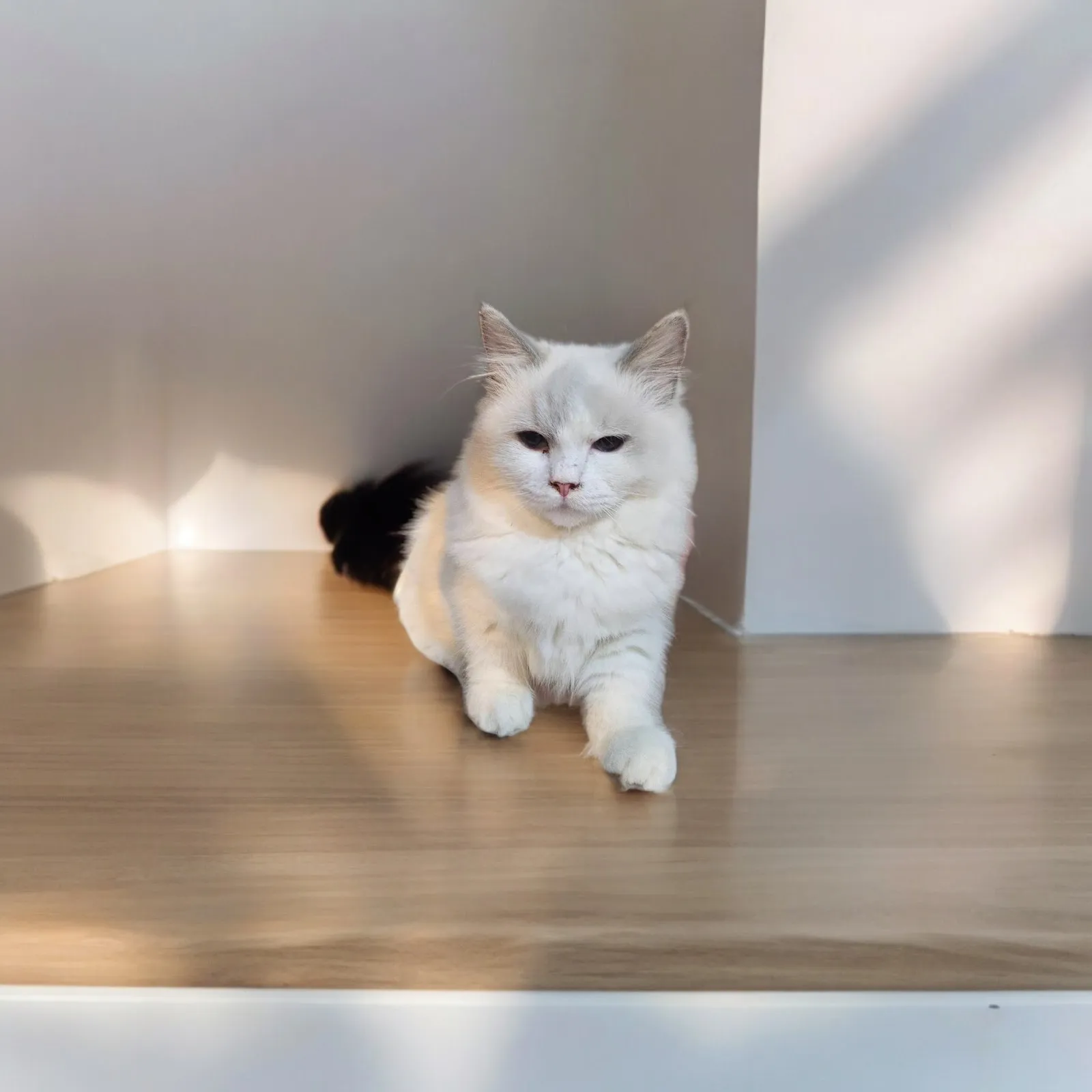 貝比樂園寵物生活館