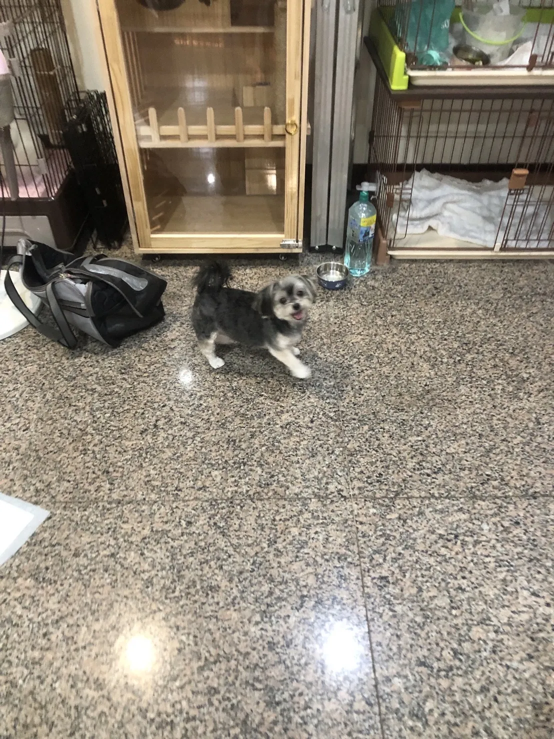 有珈寵物美容坊