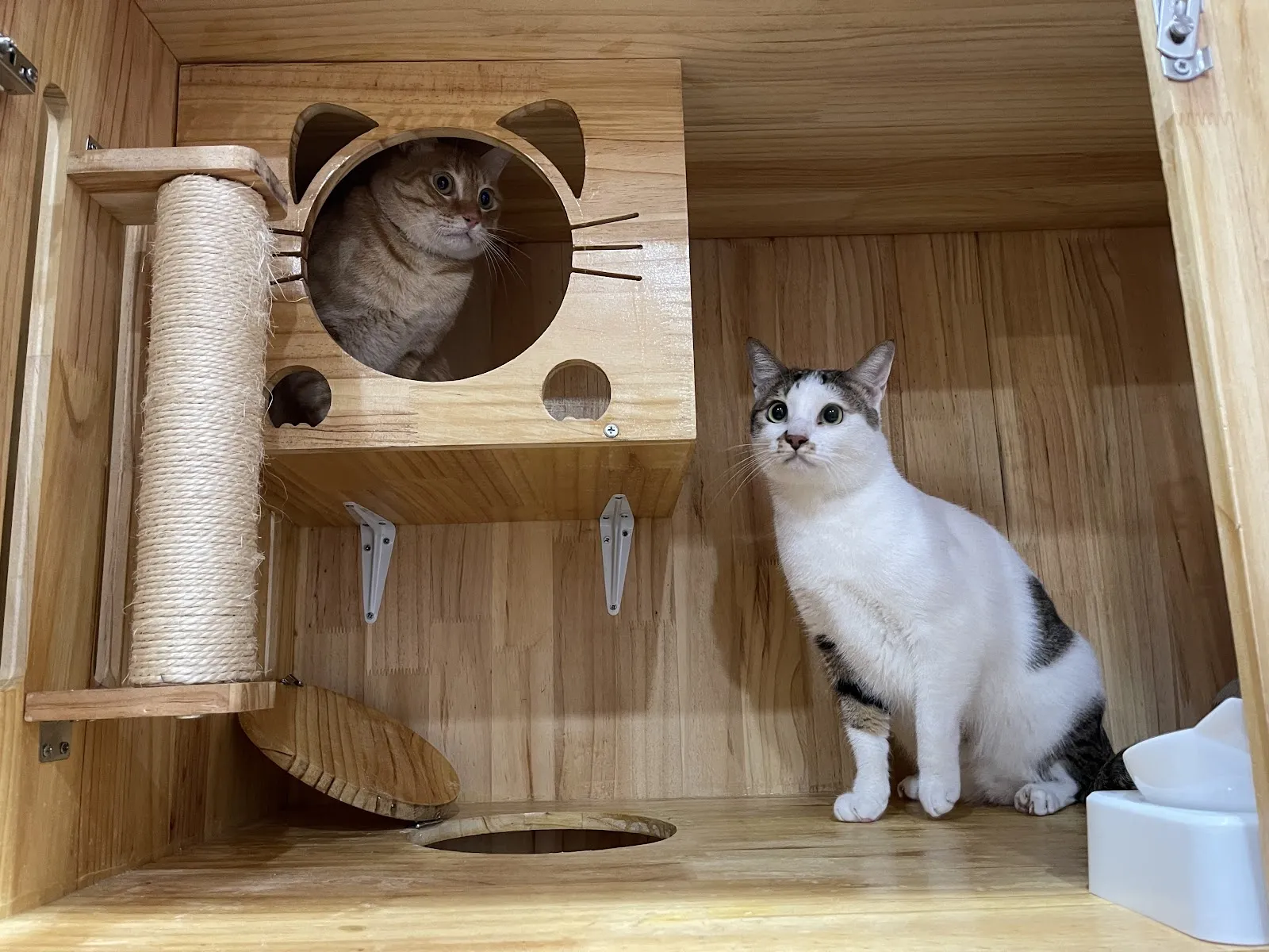 有珈寵物美容坊