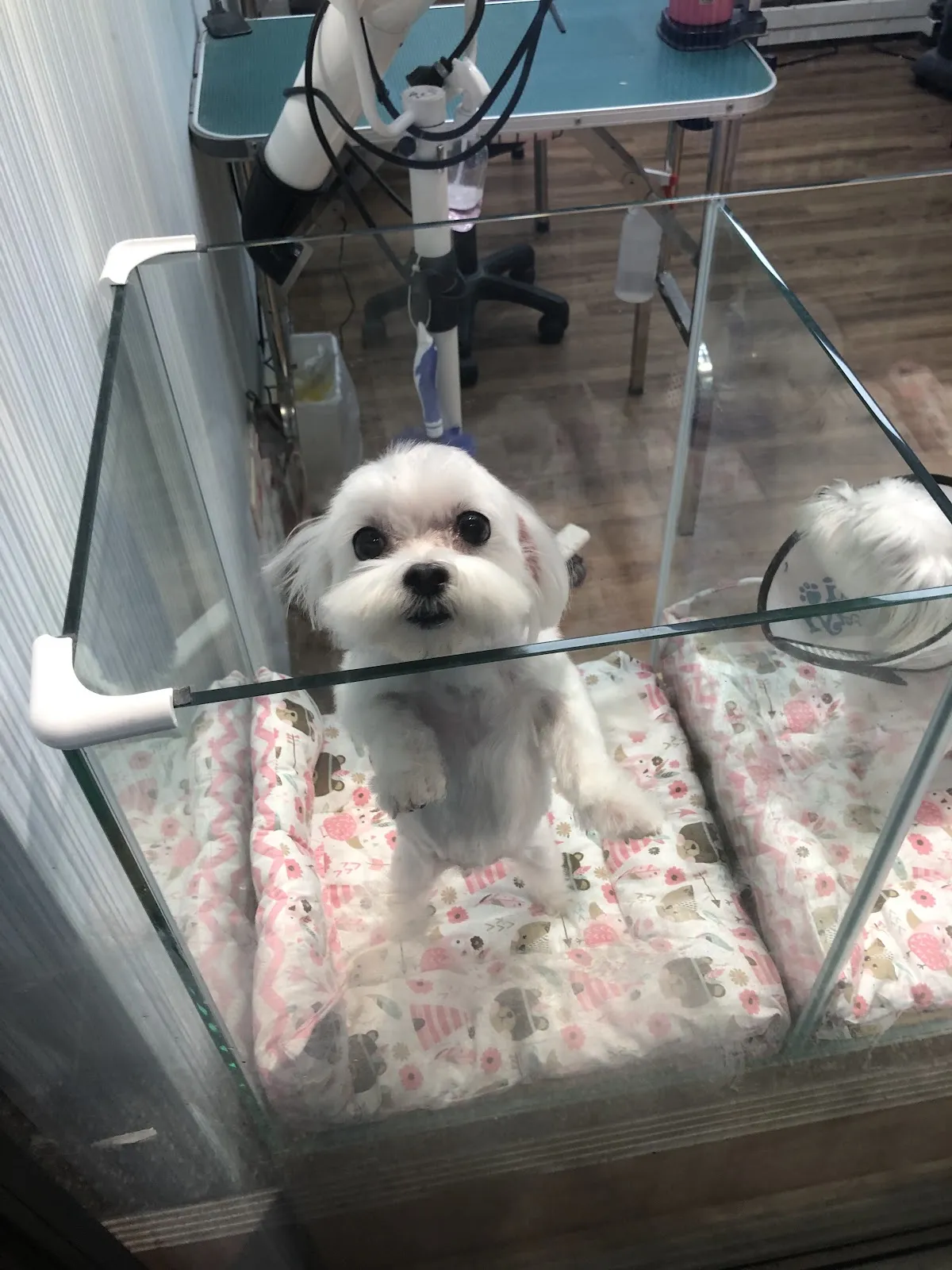 幸福寵物生活館