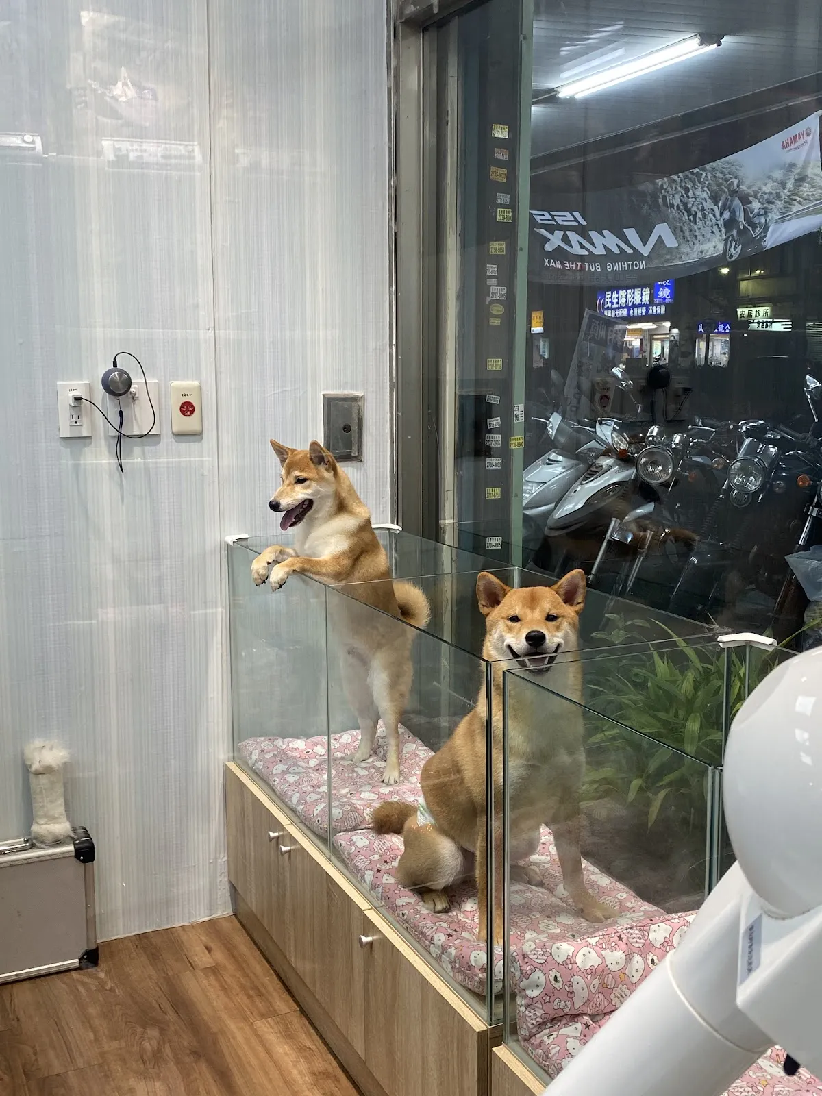 幸福寵物生活館