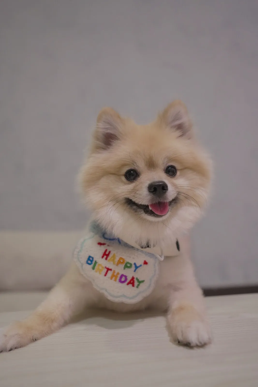 魚你在一起寵物旅館