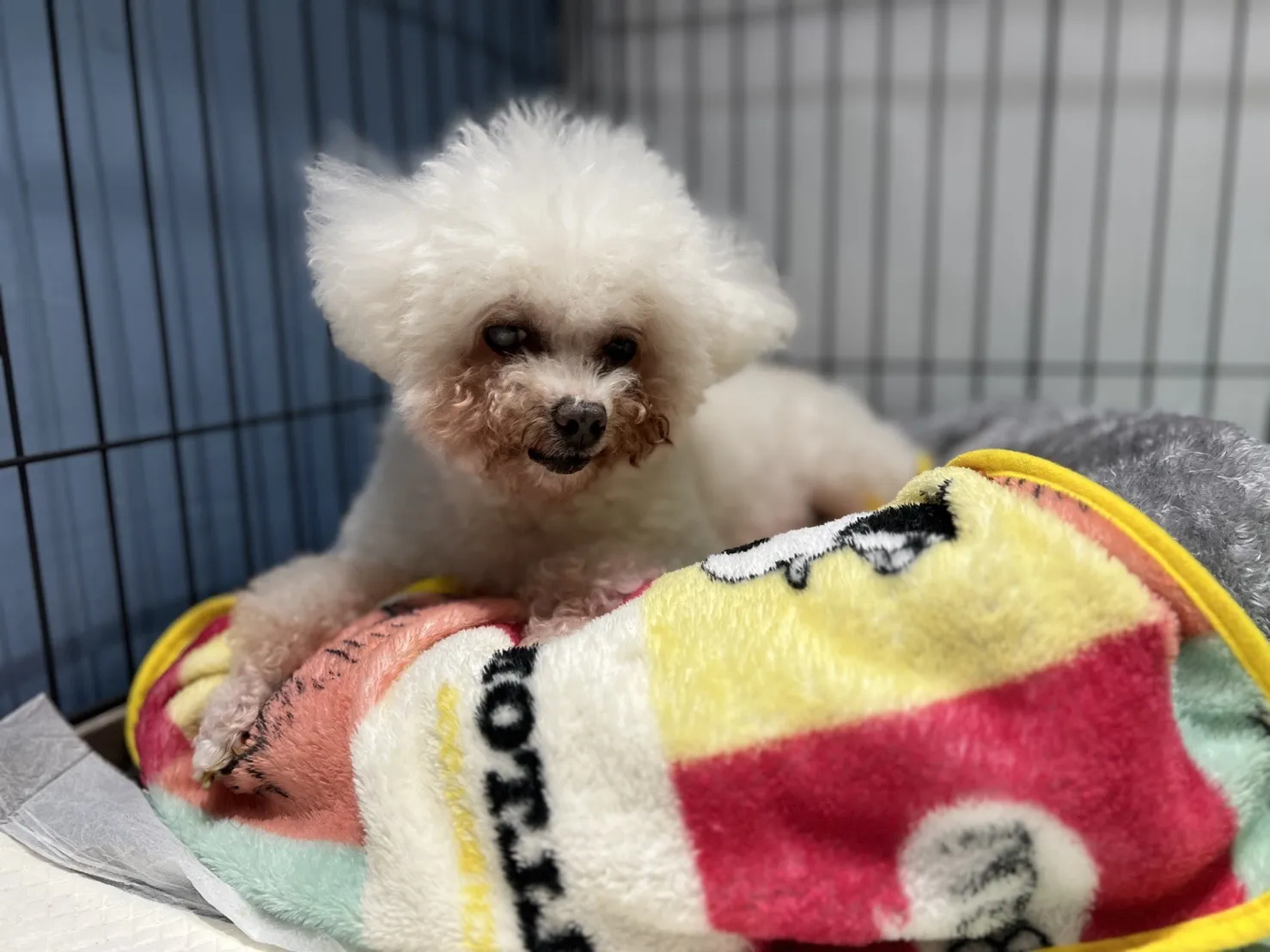 魚你在一起寵物旅館