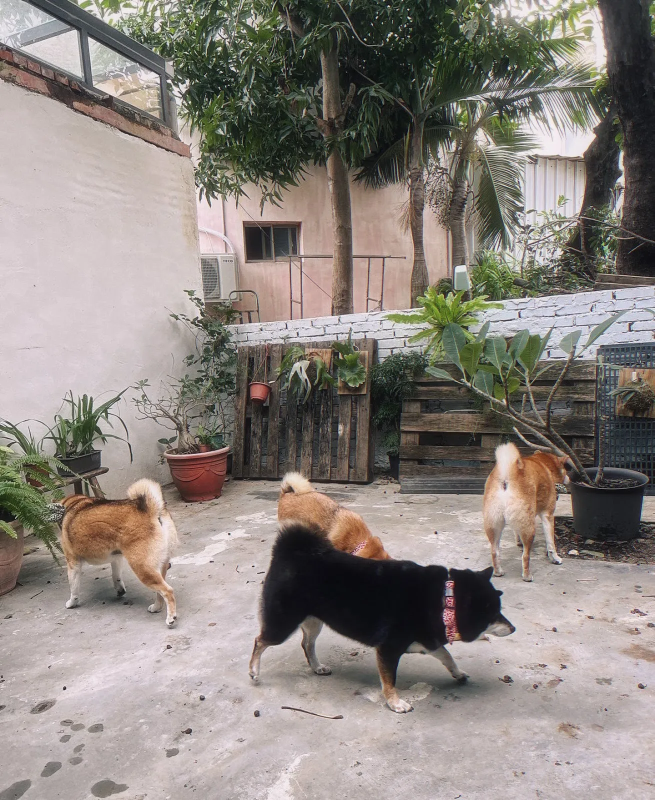 魚你在一起寵物旅館