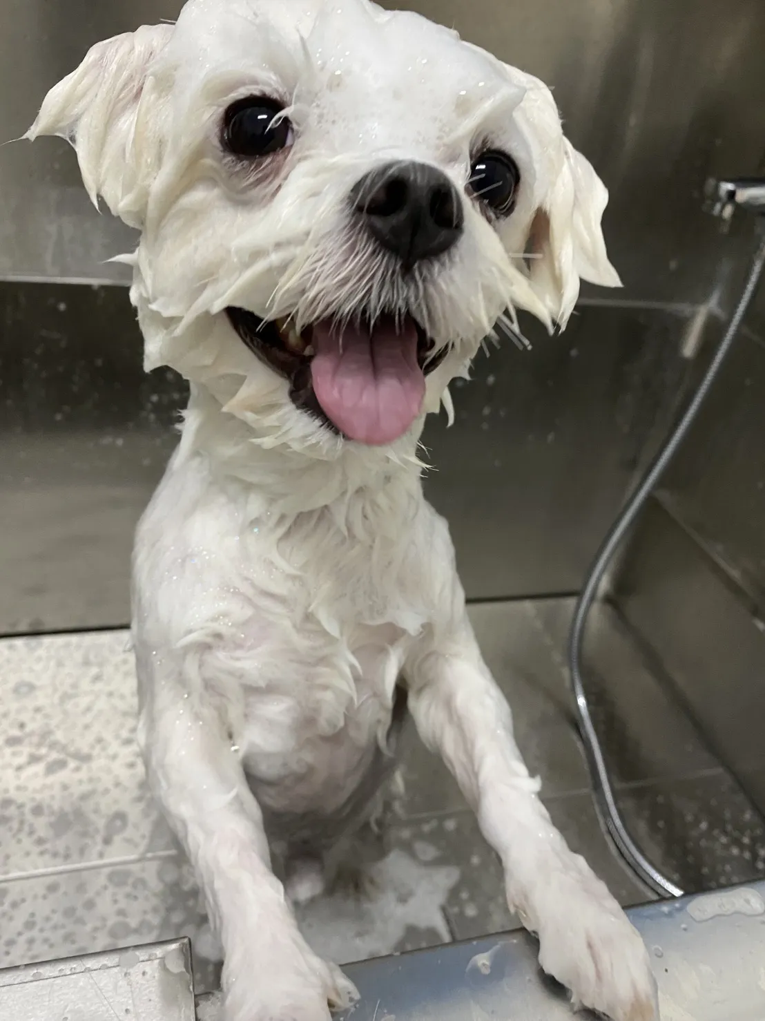 魚你在一起寵物旅館