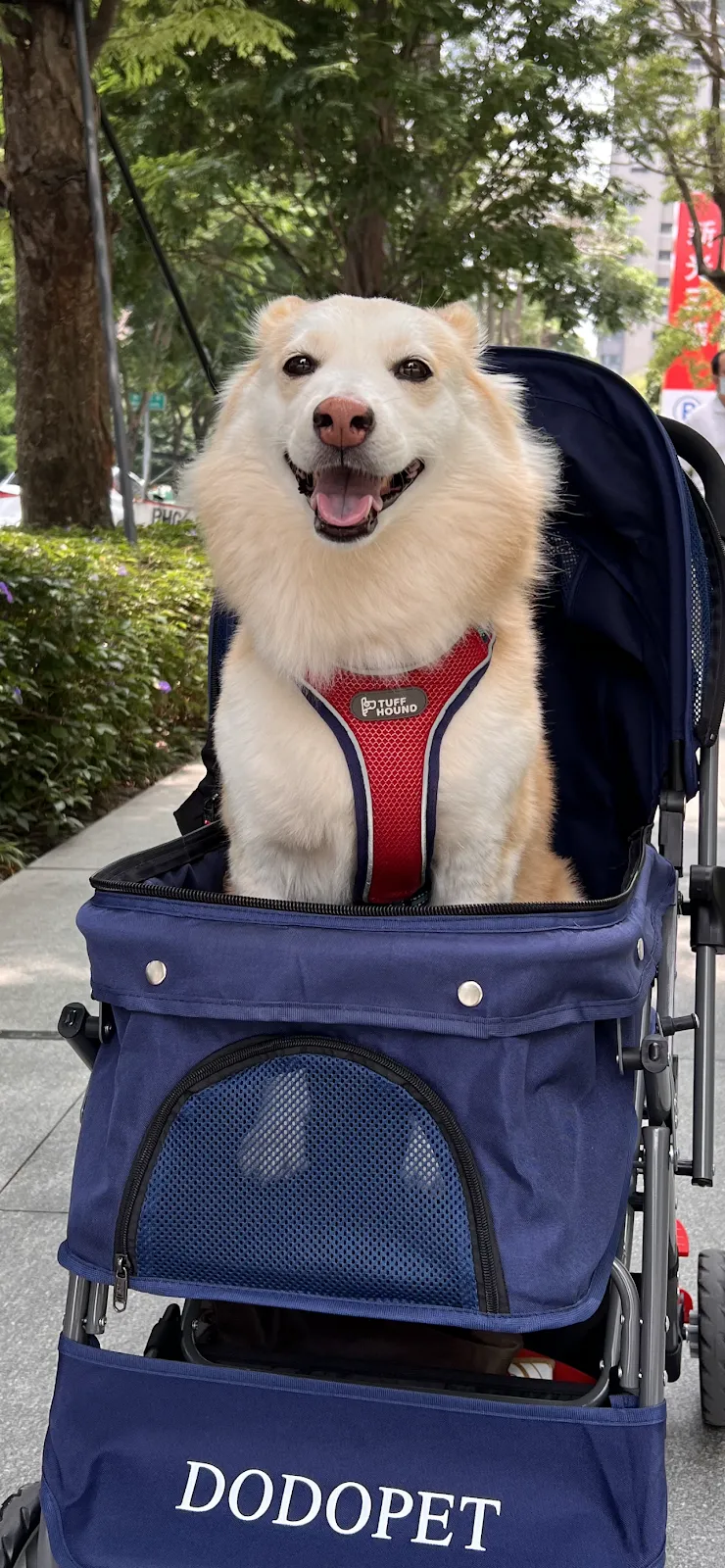 毛孩森林寵物生活館