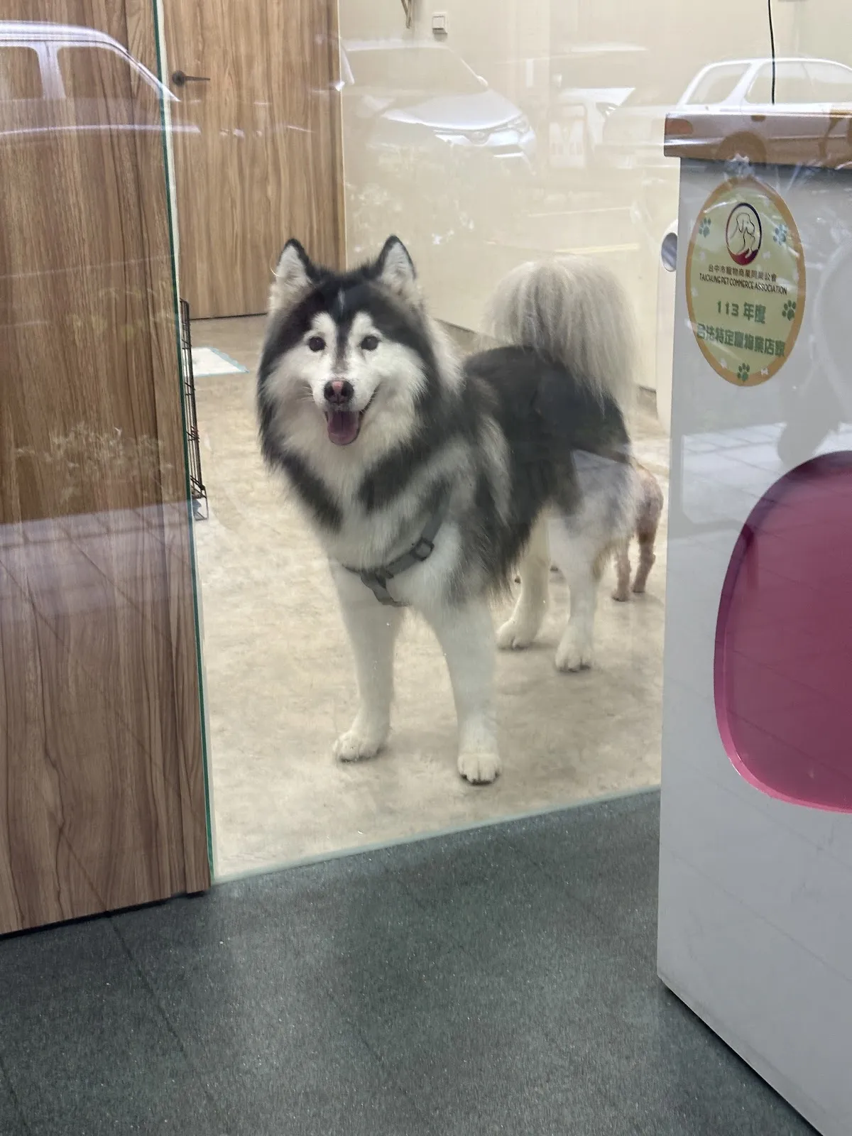 毛孩森林寵物生活館