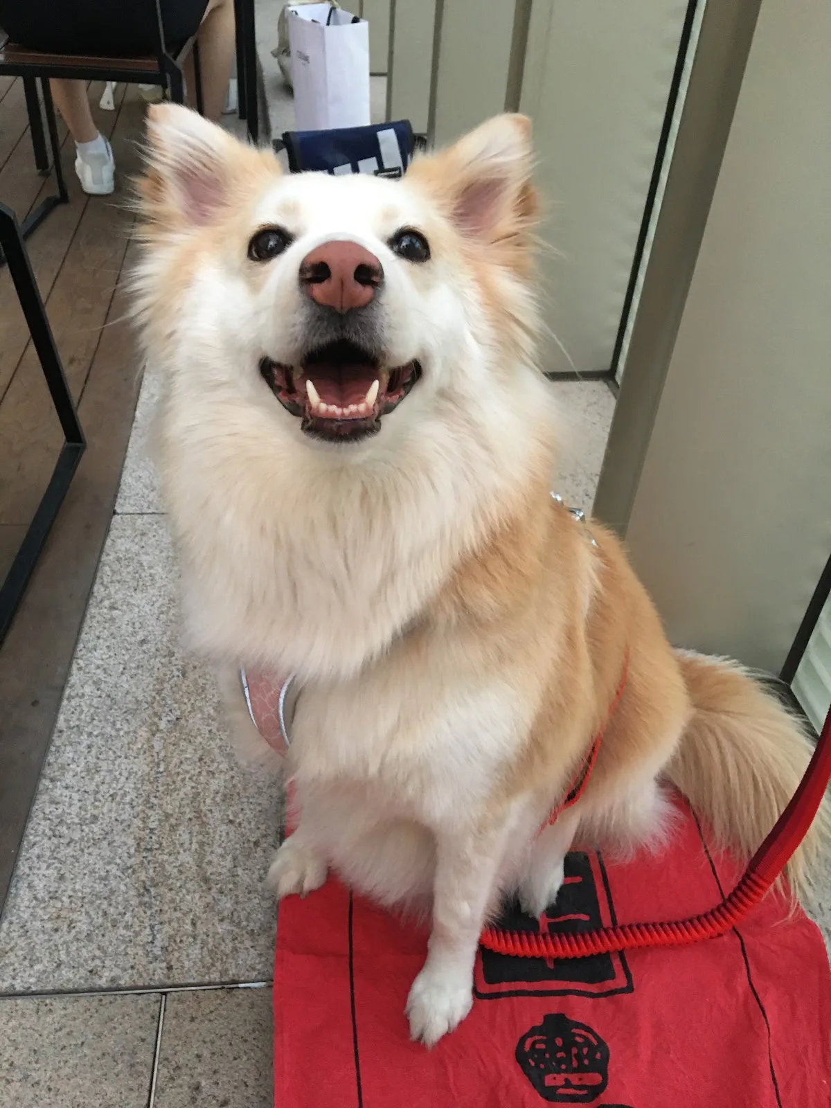 毛孩森林寵物生活館