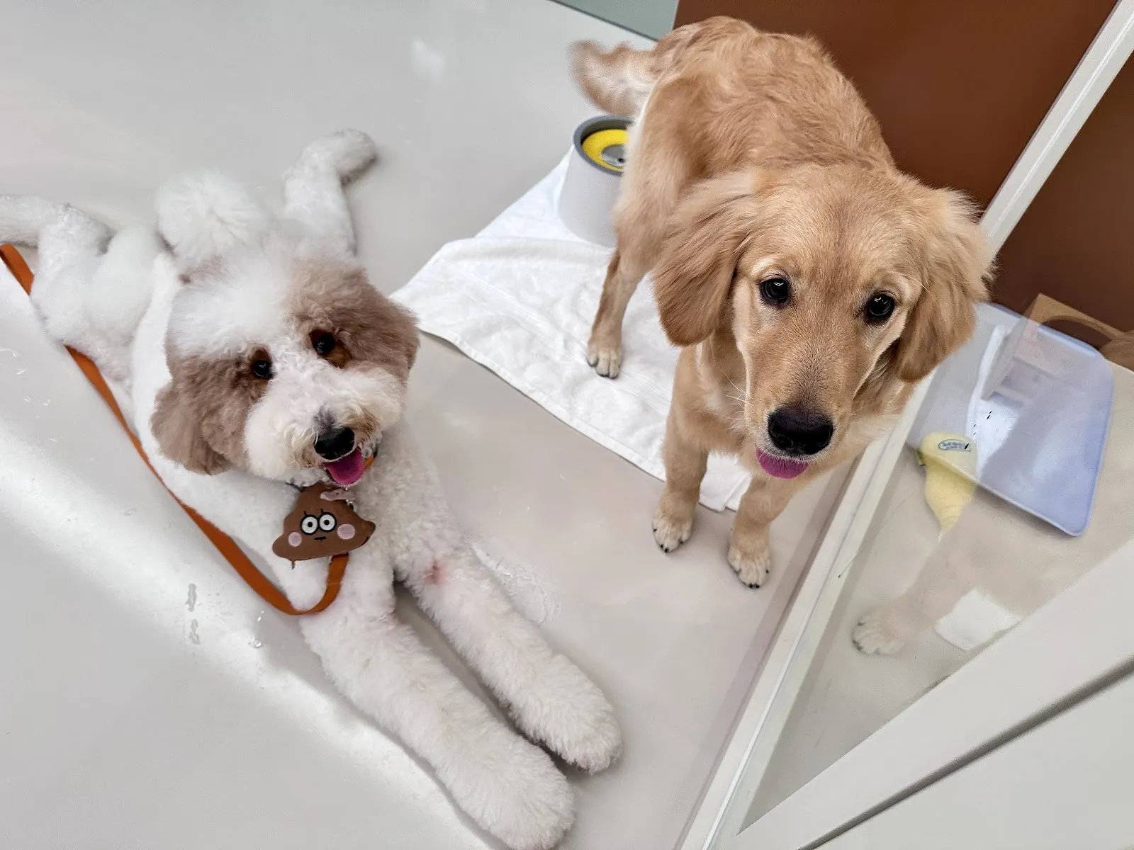 毛孩你好寵物生活館