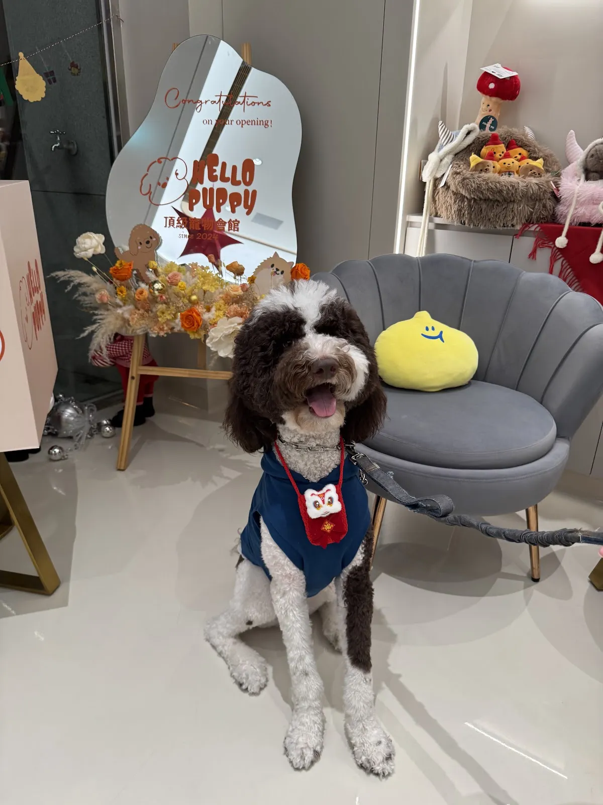毛孩你好寵物生活館
