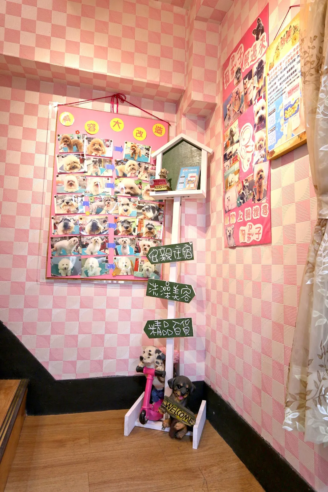 狗崽子寵物沙龍