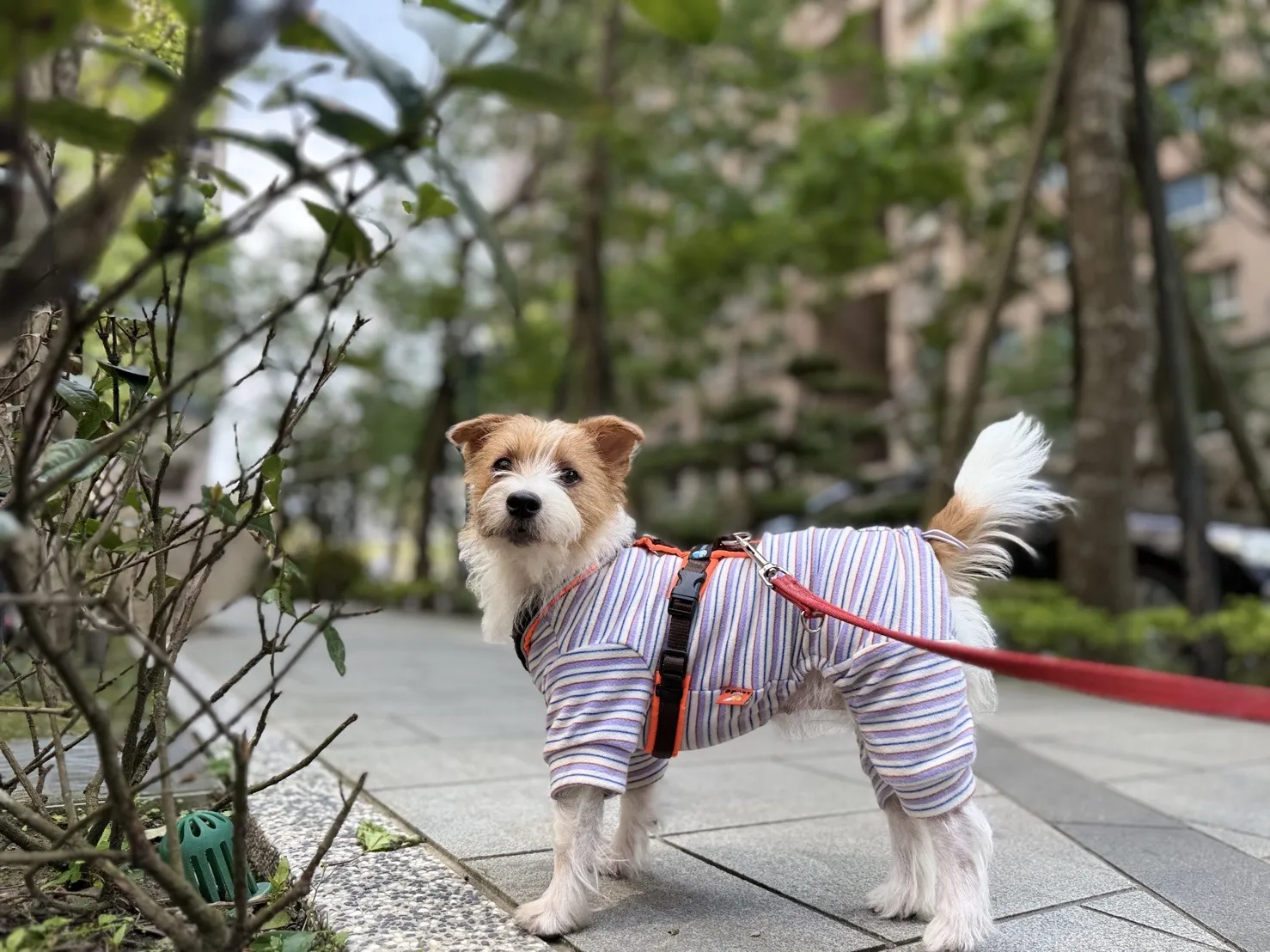 狗趣兒寵物旅館