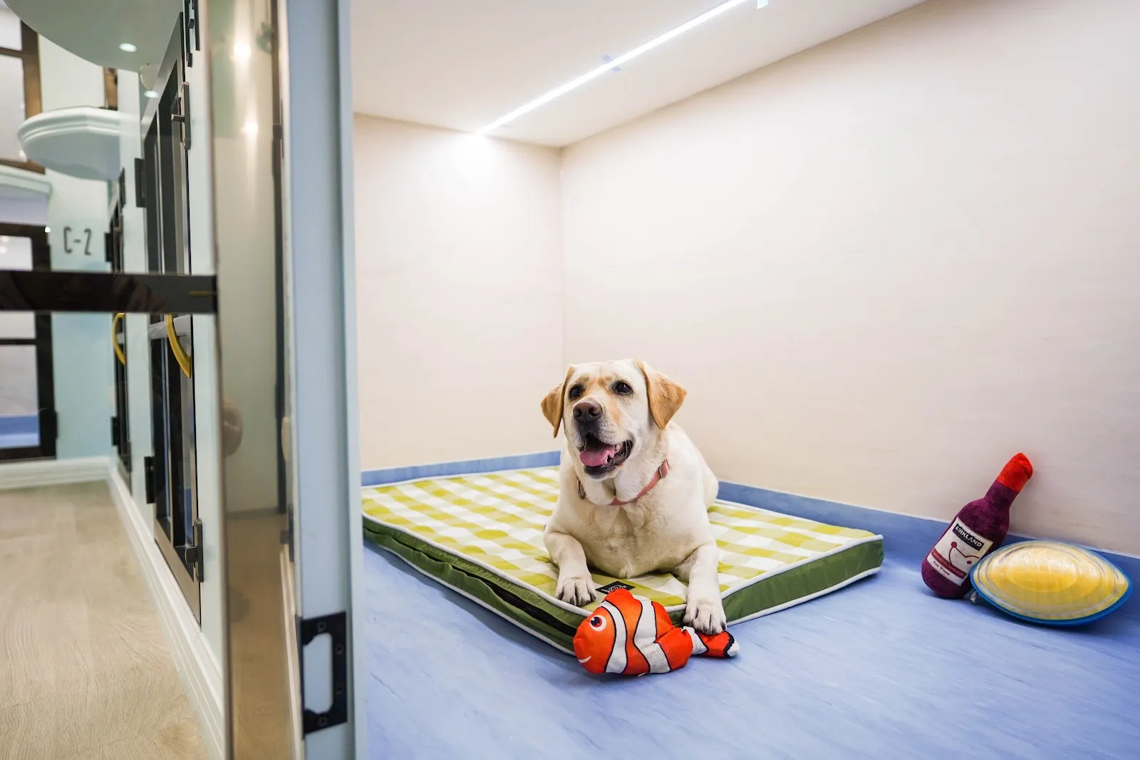 狗趣兒寵物旅館