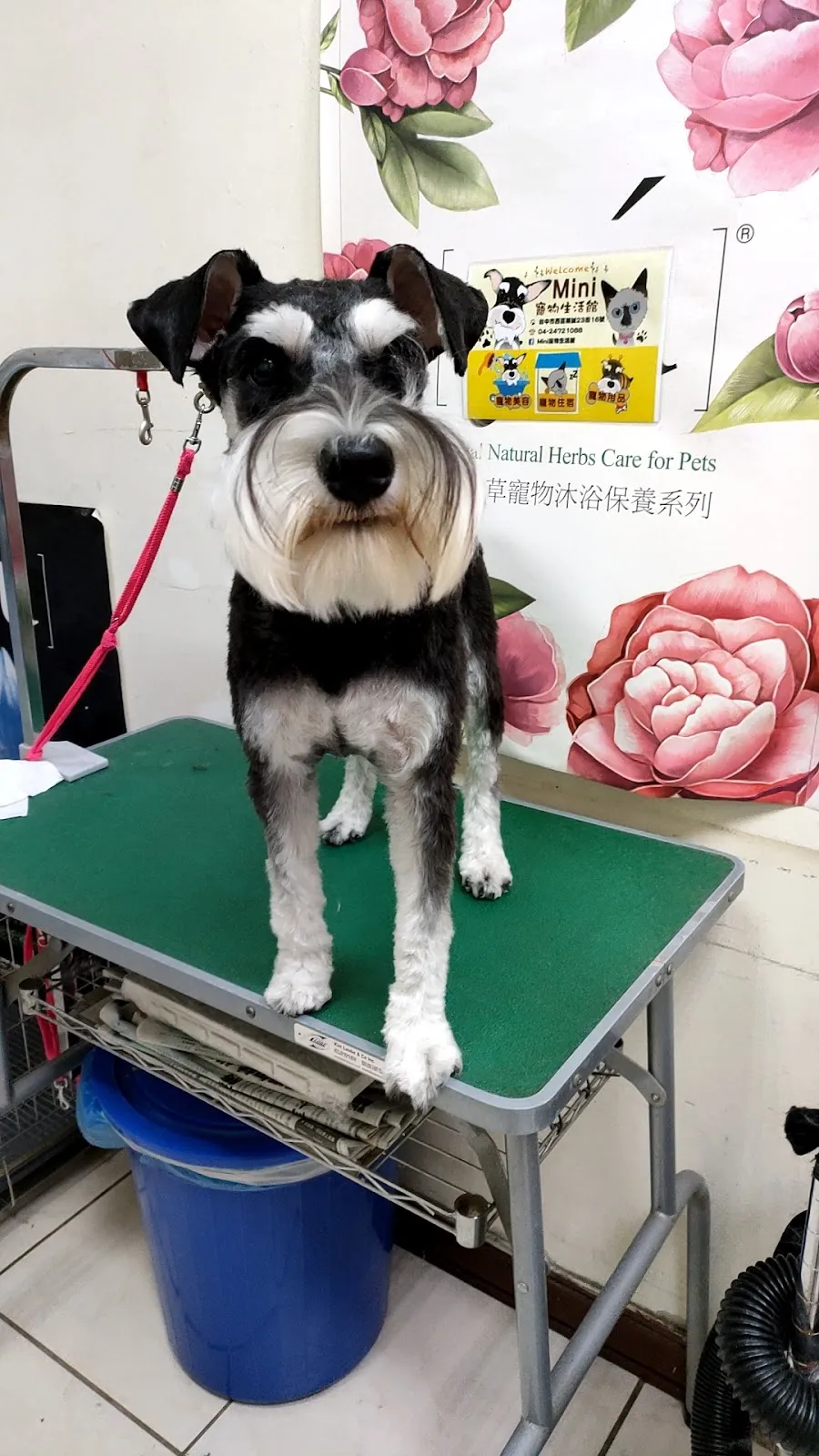 洣倪寵物生活館