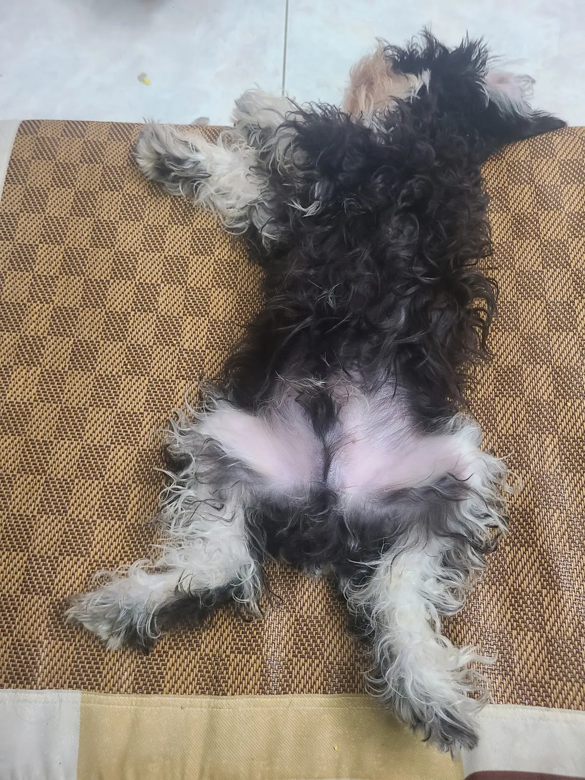 全滿屋寵物生活館