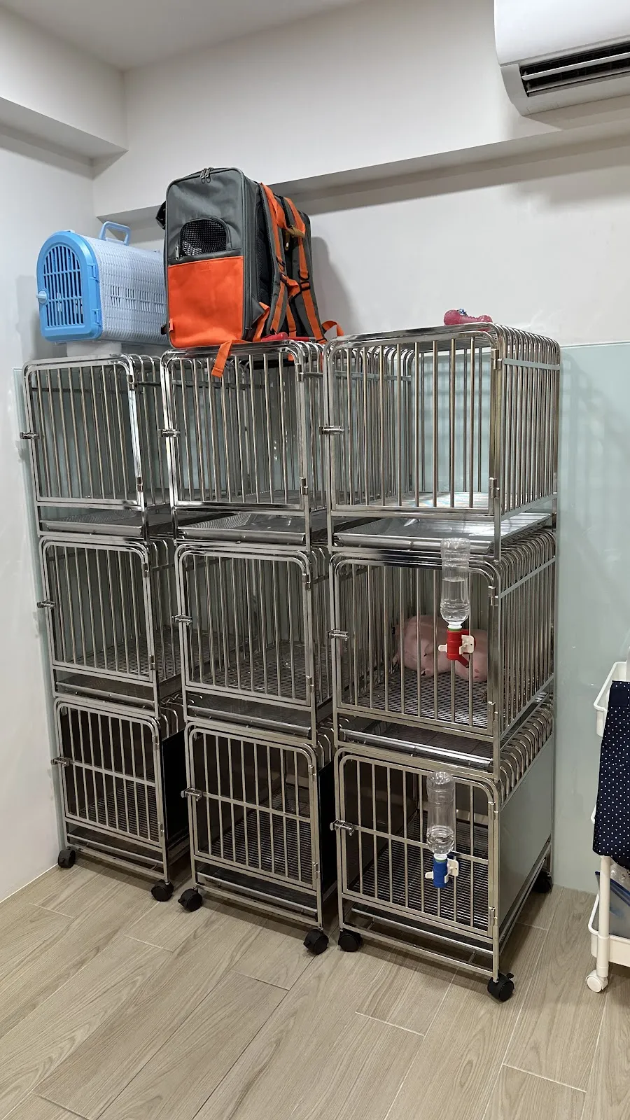 星貝貝寵物旅館