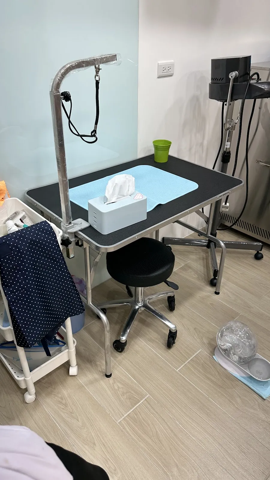 星貝貝寵物旅館