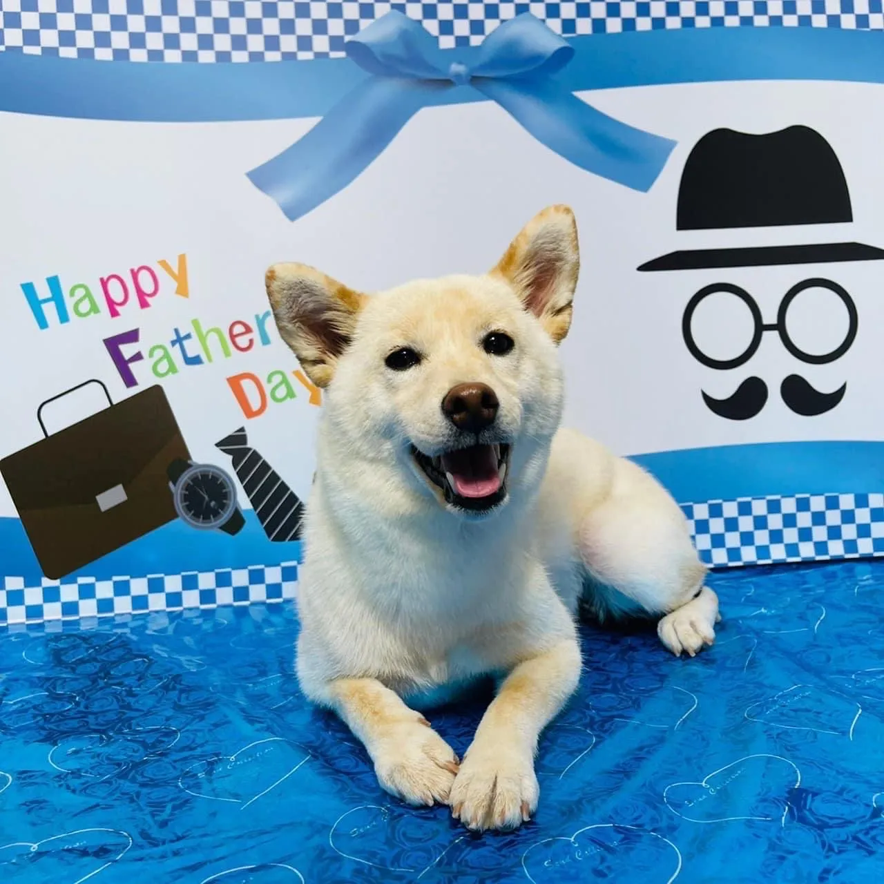 毛寶貝快樂寵物坊