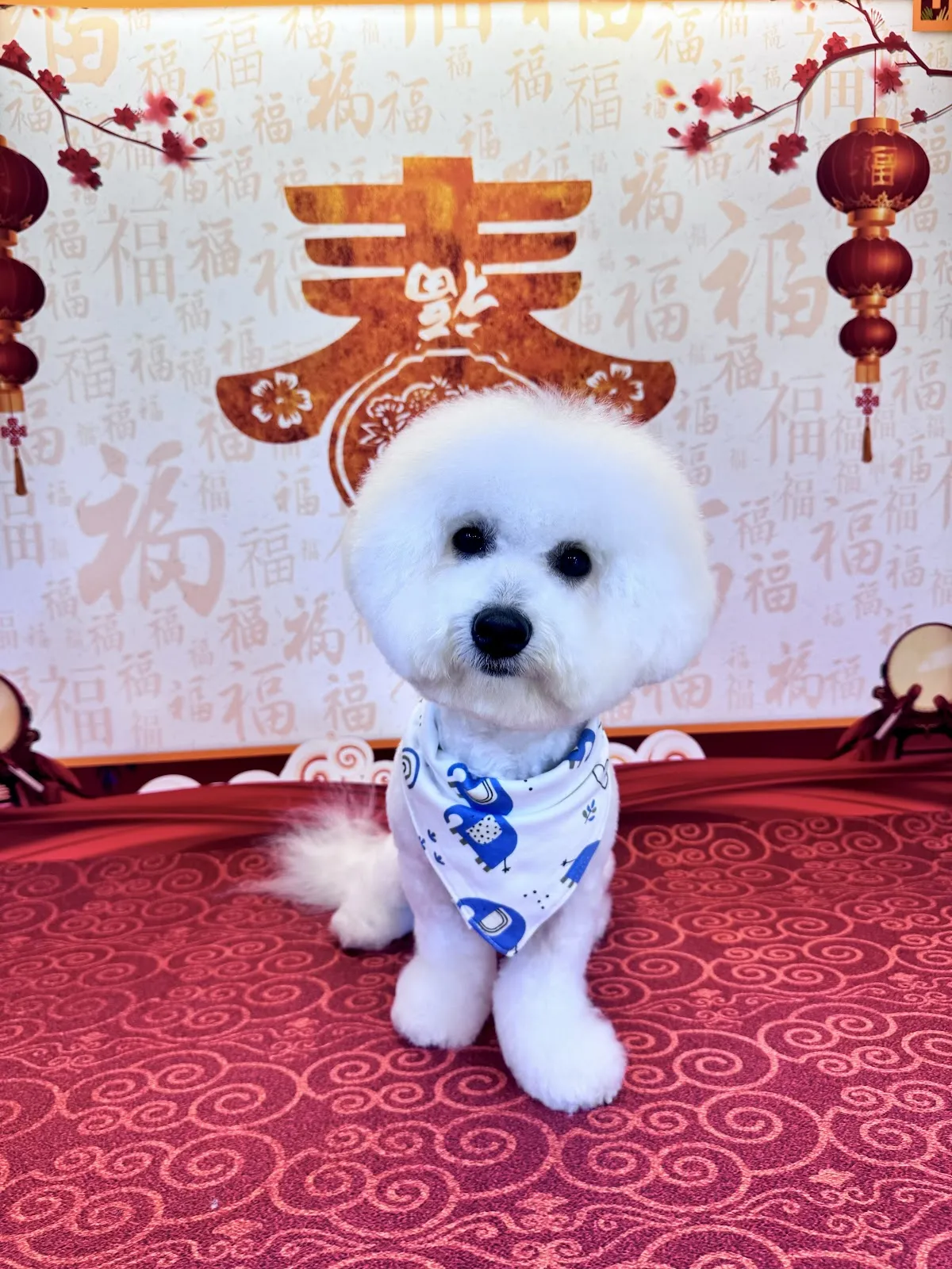 毛寶貝快樂寵物坊