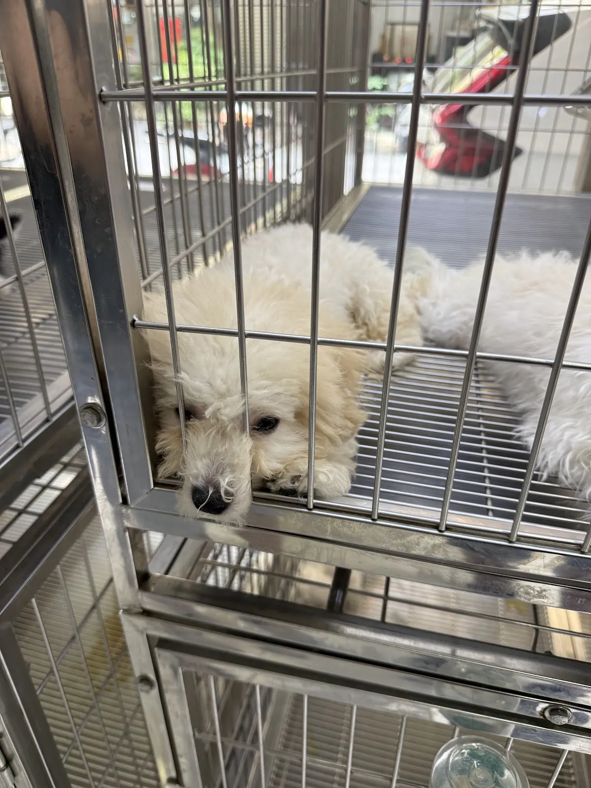 毛寶貝快樂寵物坊