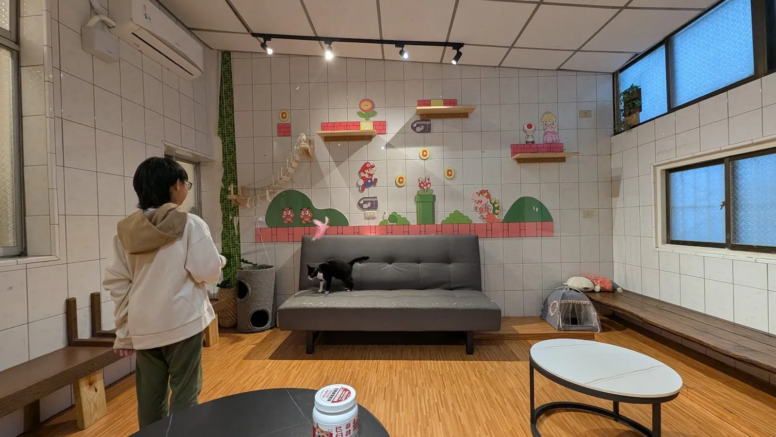 布緬愛上你貓舍