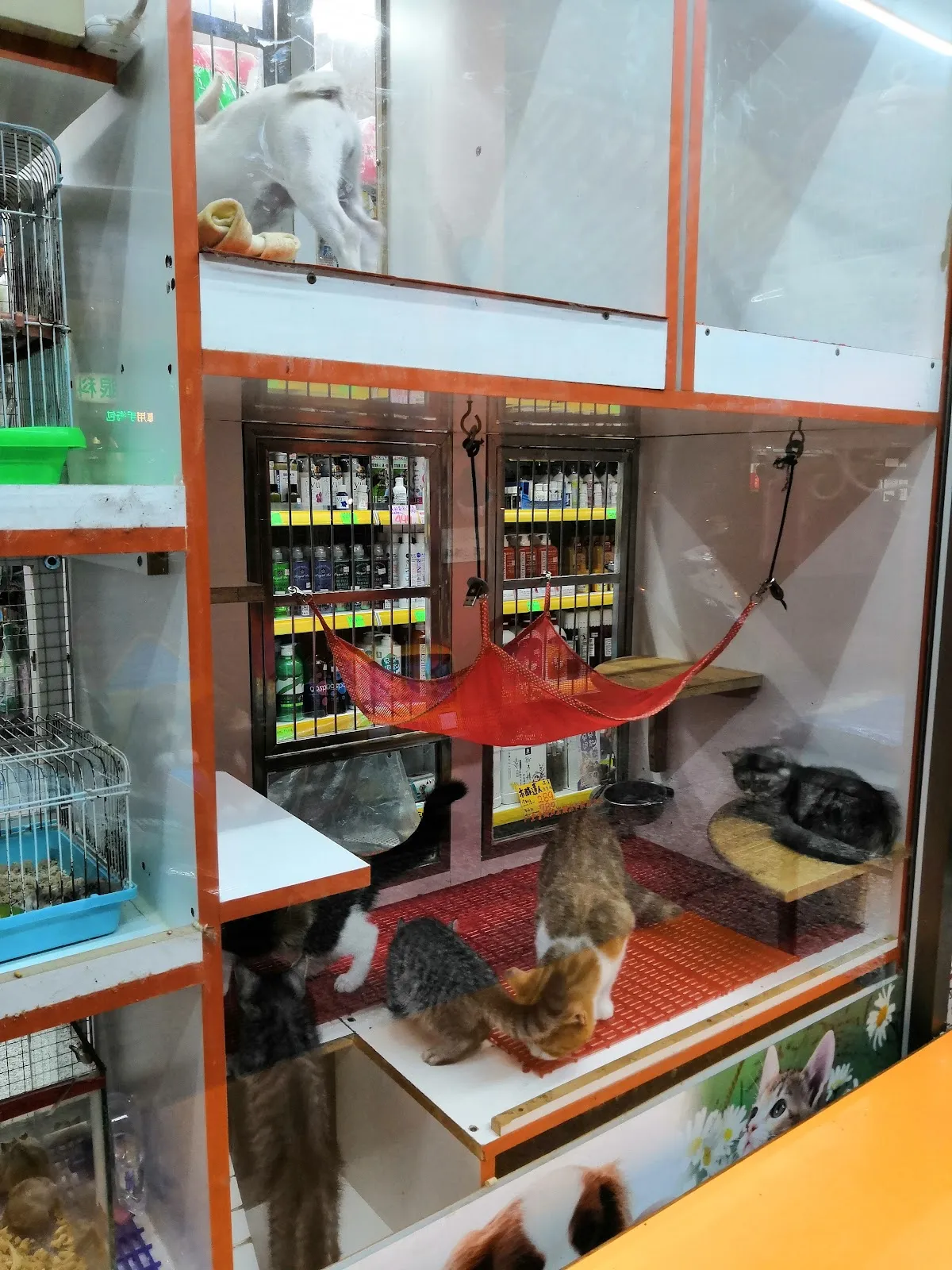 元氣寵物生活館