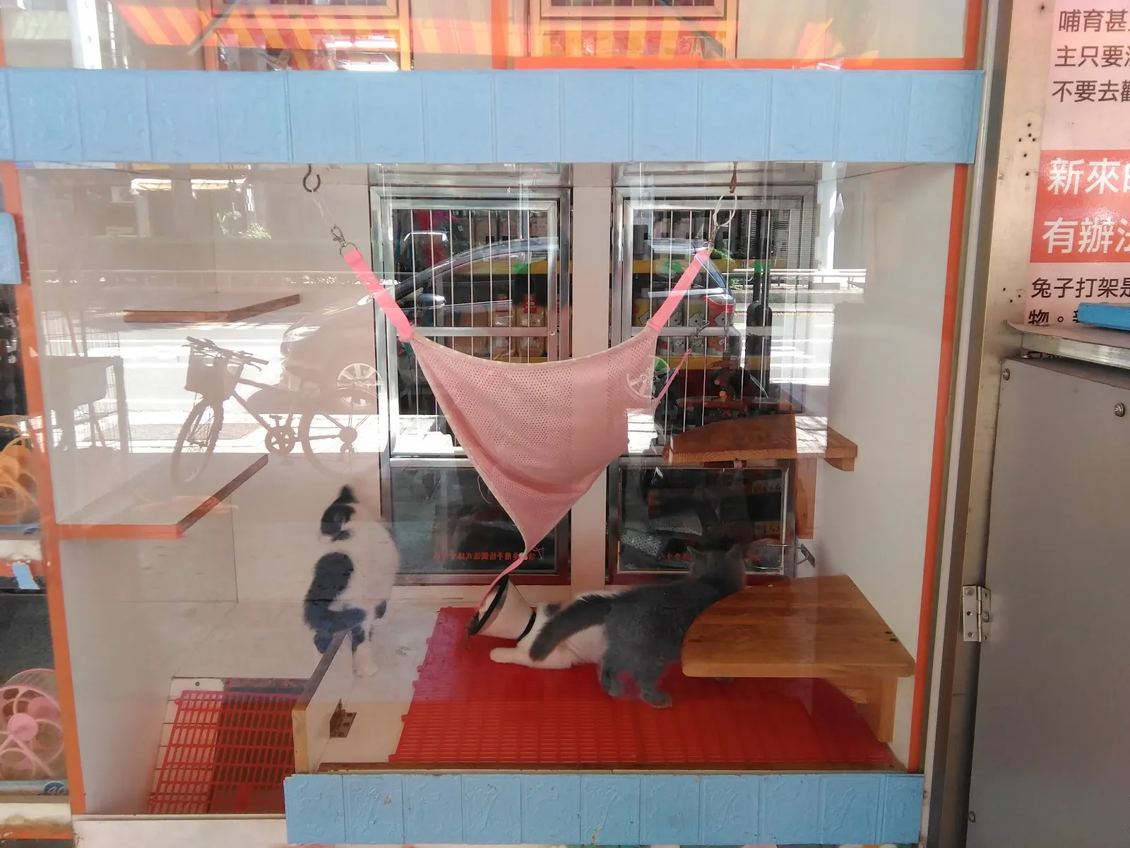 元氣寵物生活館