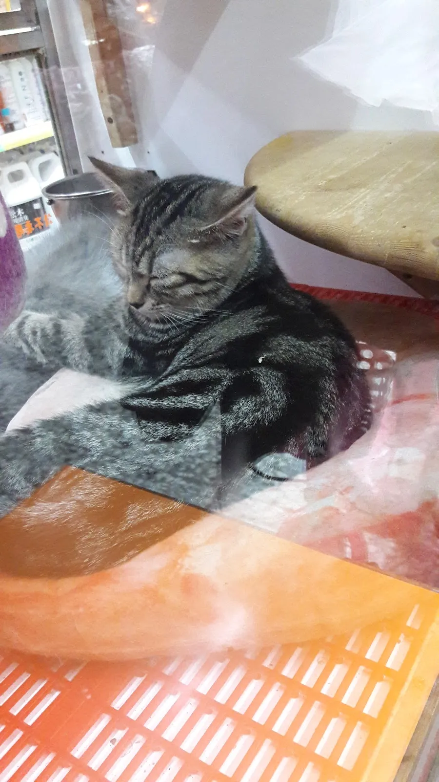 元氣寵物生活館