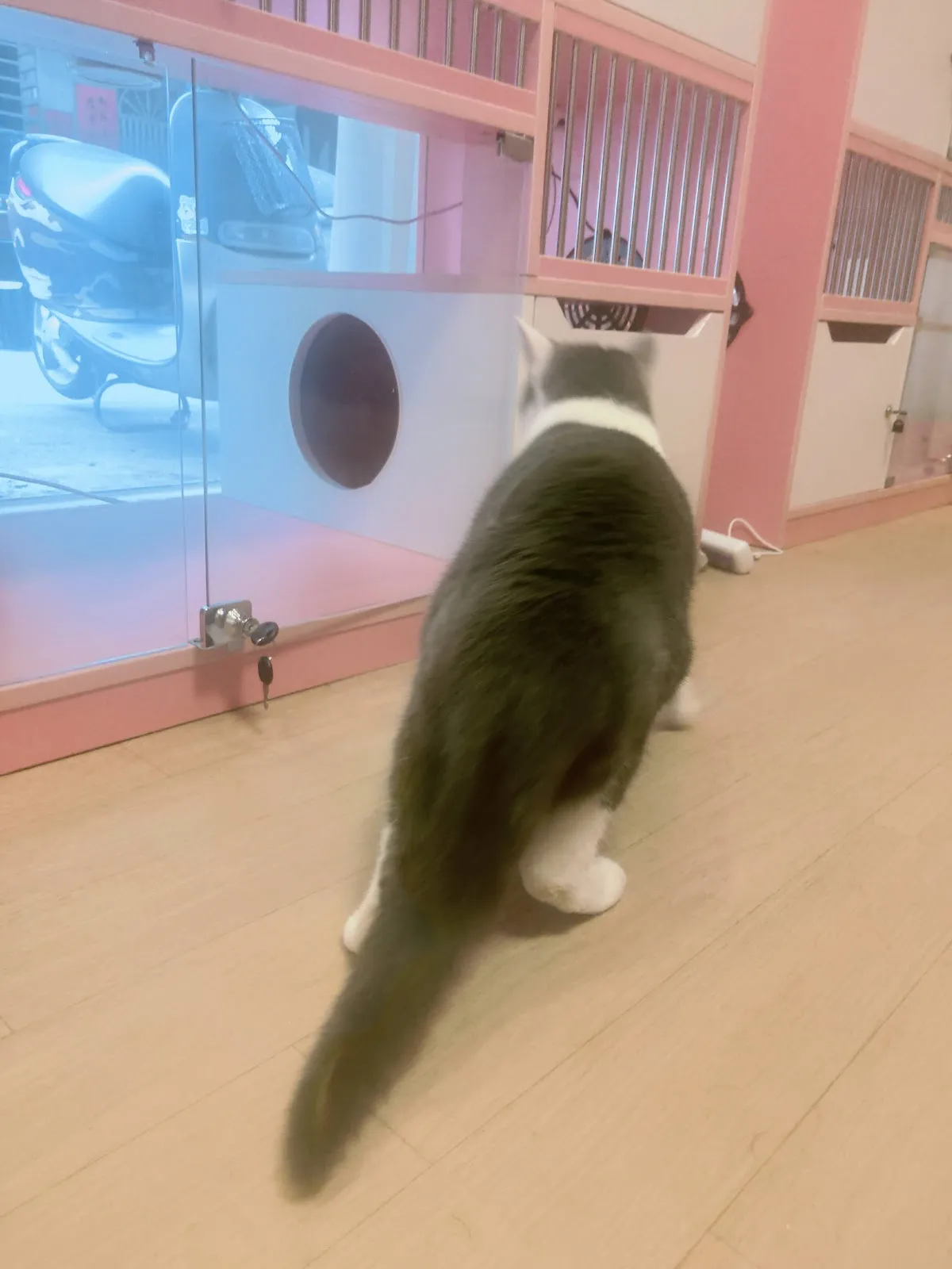 頭等艙寵物生活館