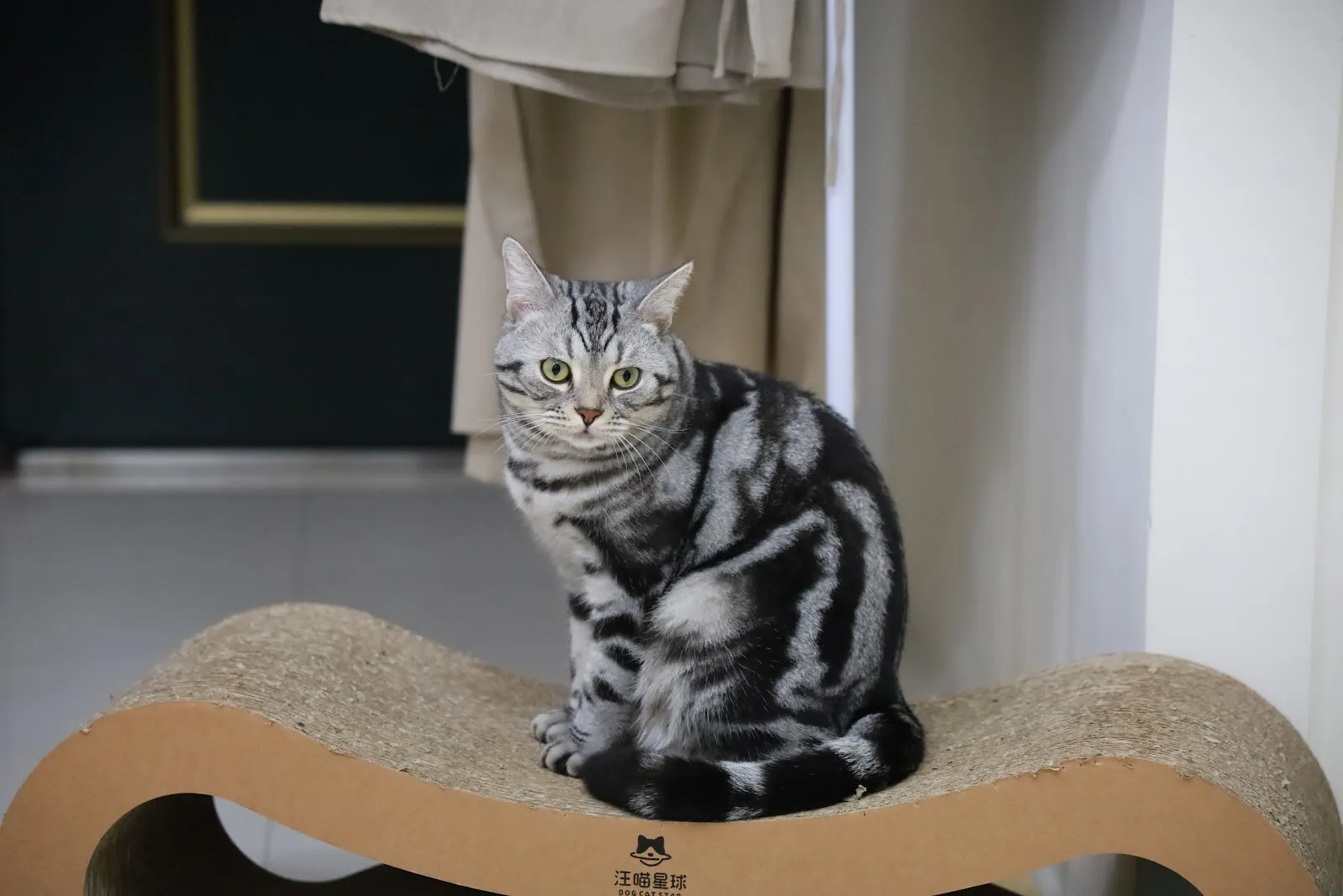 中圓寵物股份有限公司林口分公司