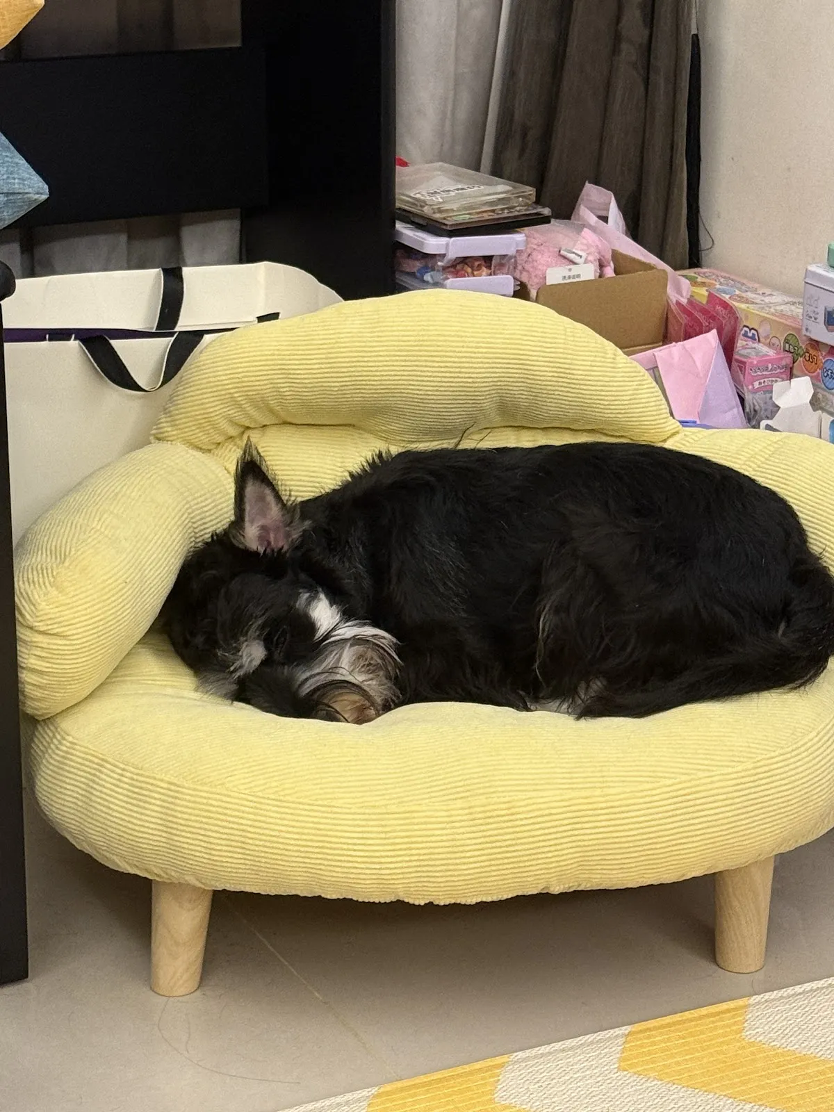 中圓寵物股份有限公司林口分公司