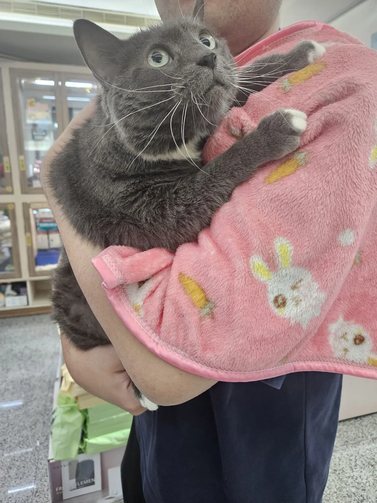 中圓寵物股份有限公司林口分公司