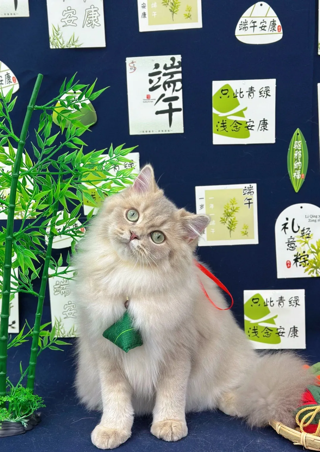 柯達美寵物美容生活舘
