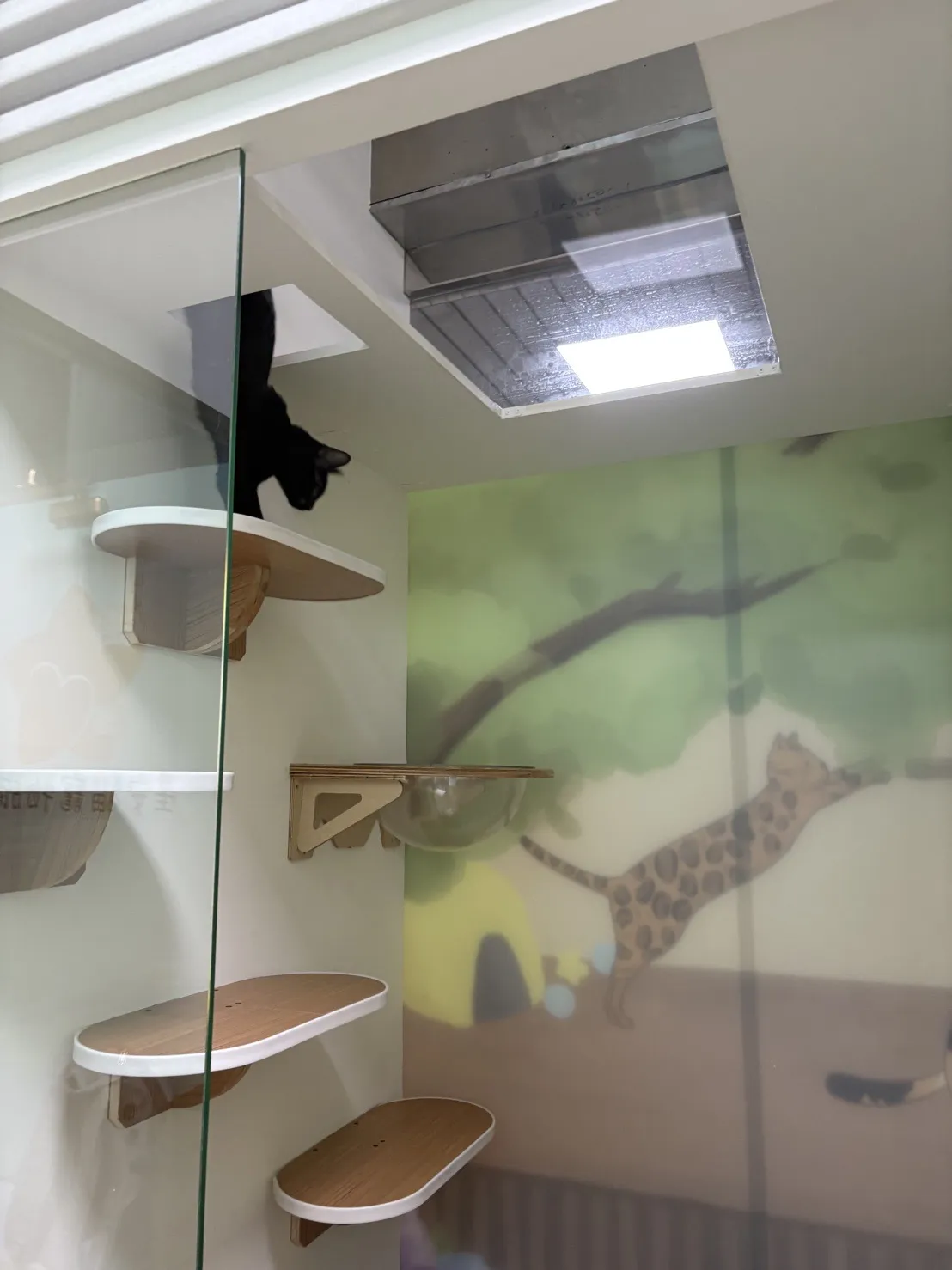 星安貓寵物旅館